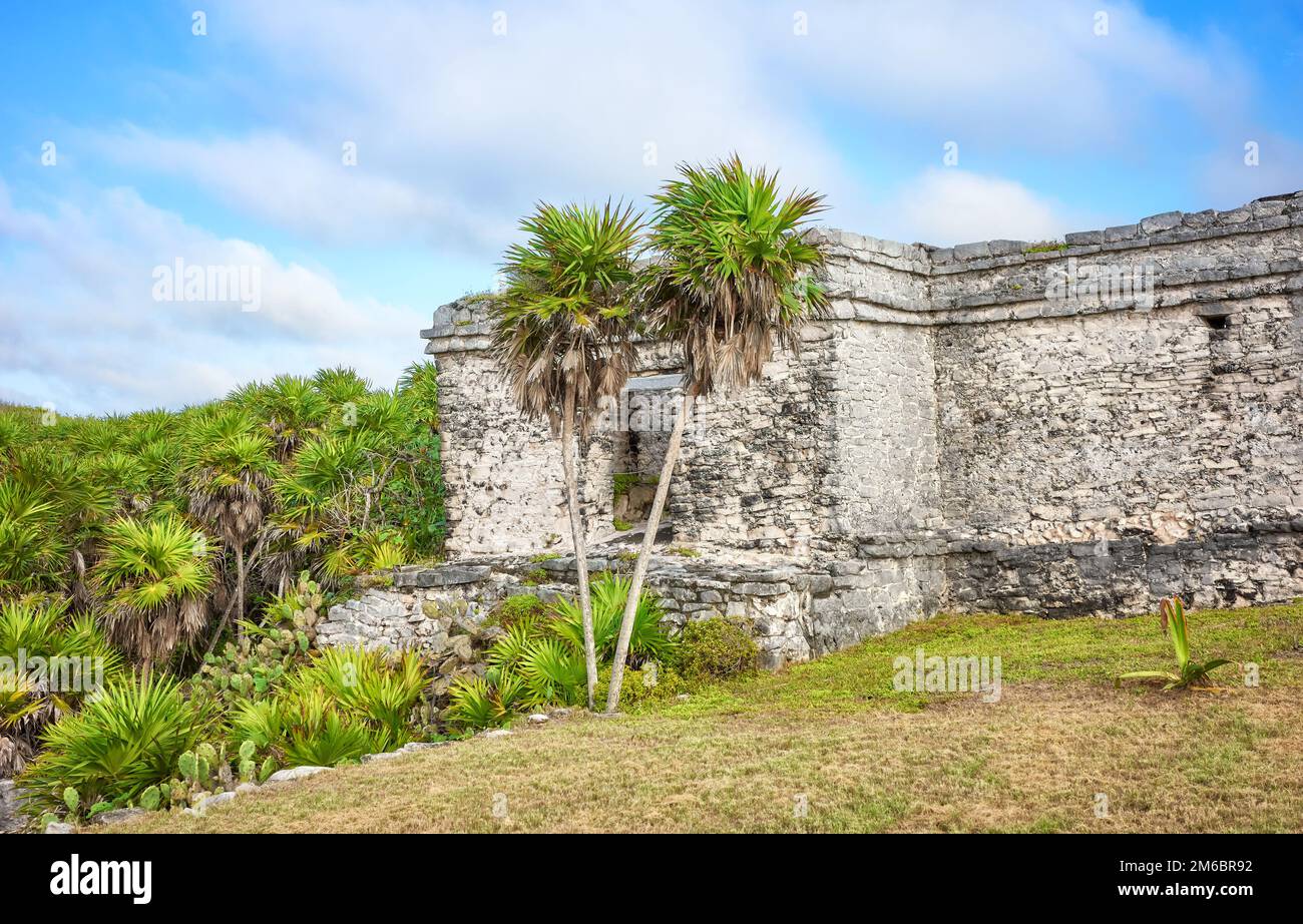 Ruinen von Tulum, präkolumbianische Maya-Stadt, Yucatan, Mexiko. Stockfoto