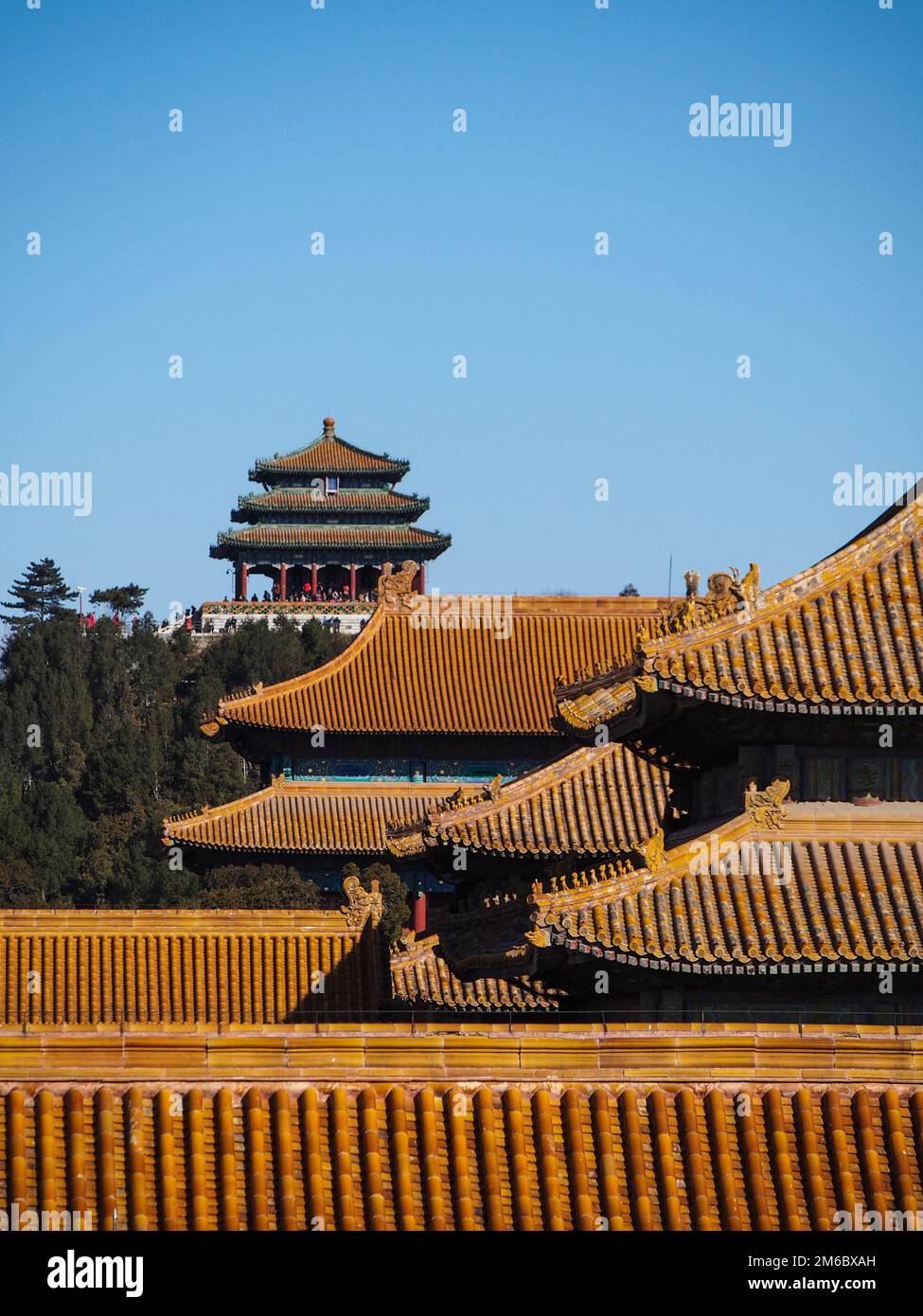 Orangefarbene Dächer des Verbotenen Palastes in der Innenstadt von Peking, China Stockfoto