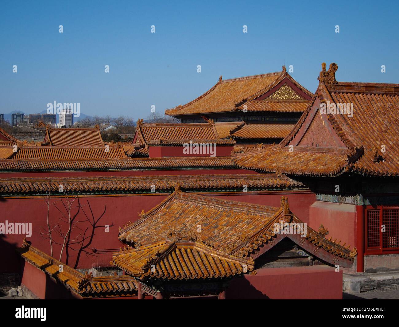Orangefarbene Dächer des Verbotenen Palastes in der Innenstadt von Peking, China Stockfoto