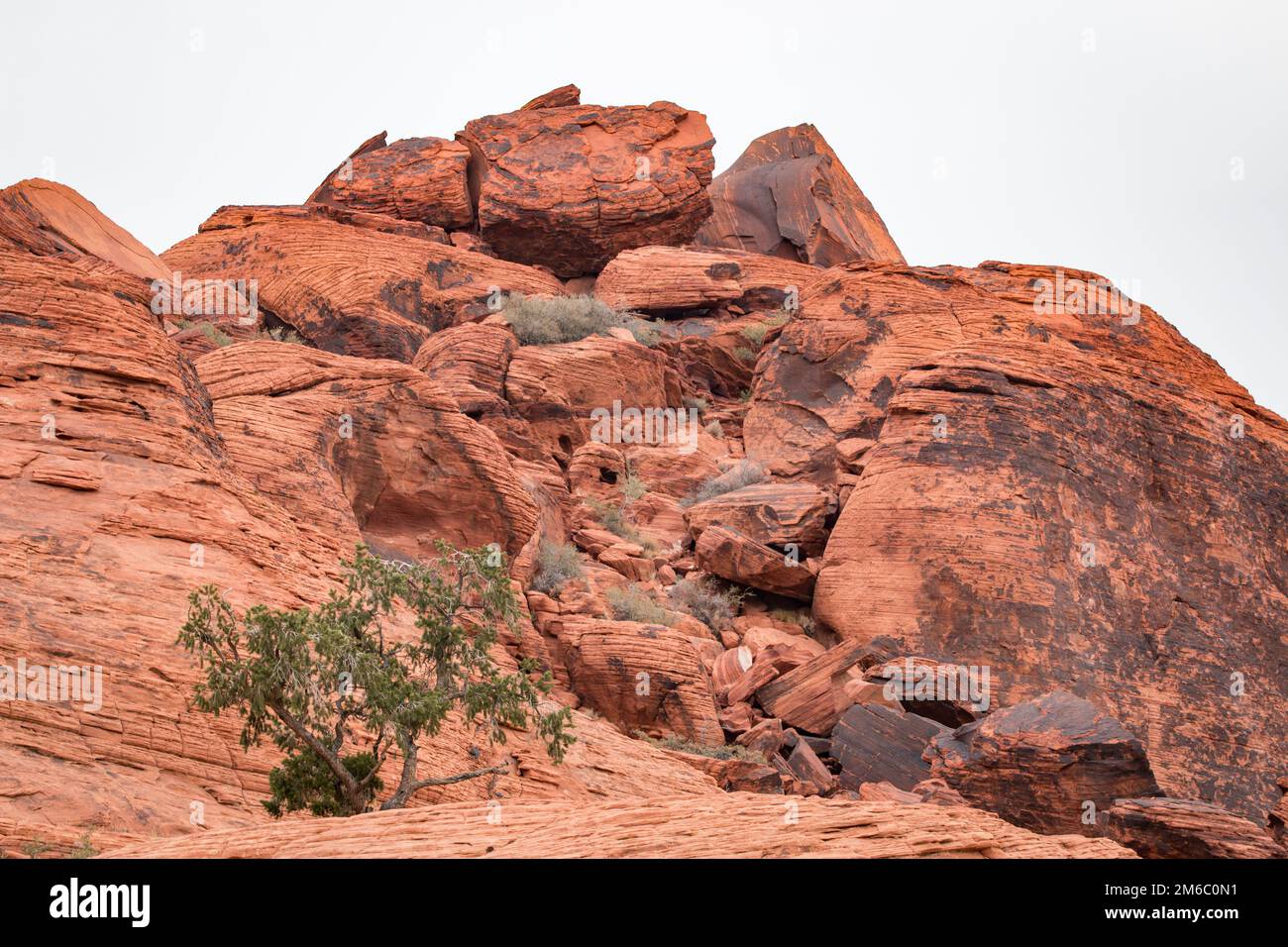 Red Rock im Red Rock Canyon National Conservation Area, USA Stockfoto