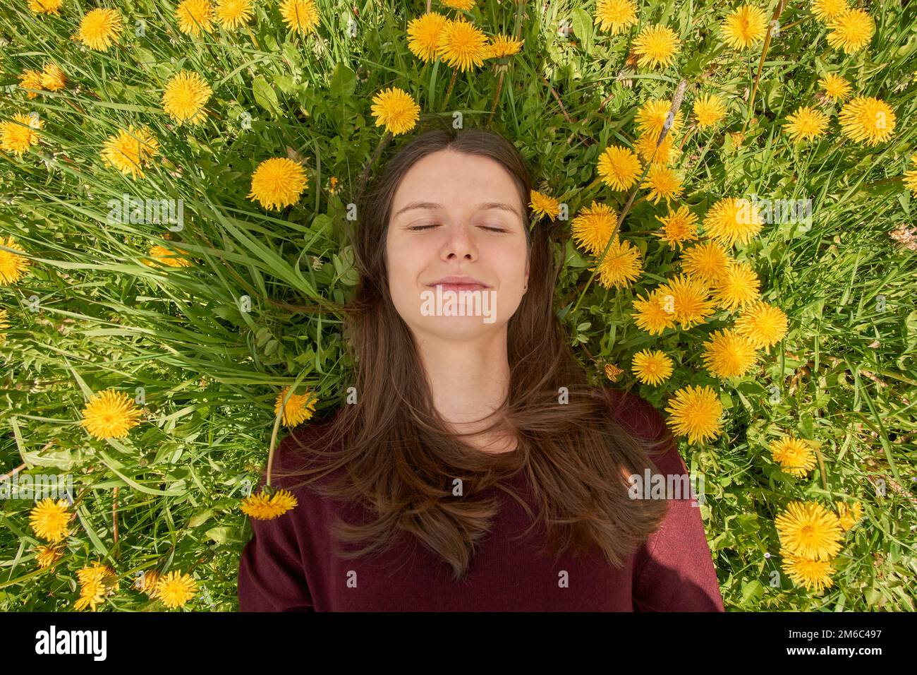 Lächelnde junge Frau mit geschlossenen Augen auf einer Wiese mit vielen Löwenzahn in der Frühlingssonne. Top-down Ansicht. Stockfoto