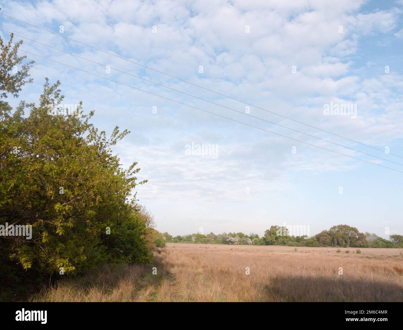 Ein klares, sonniges Feld außerhalb des Friedens wundervolle Natur, keine Menschen Wolken Streifen in Friedensschildkröten Stockfoto