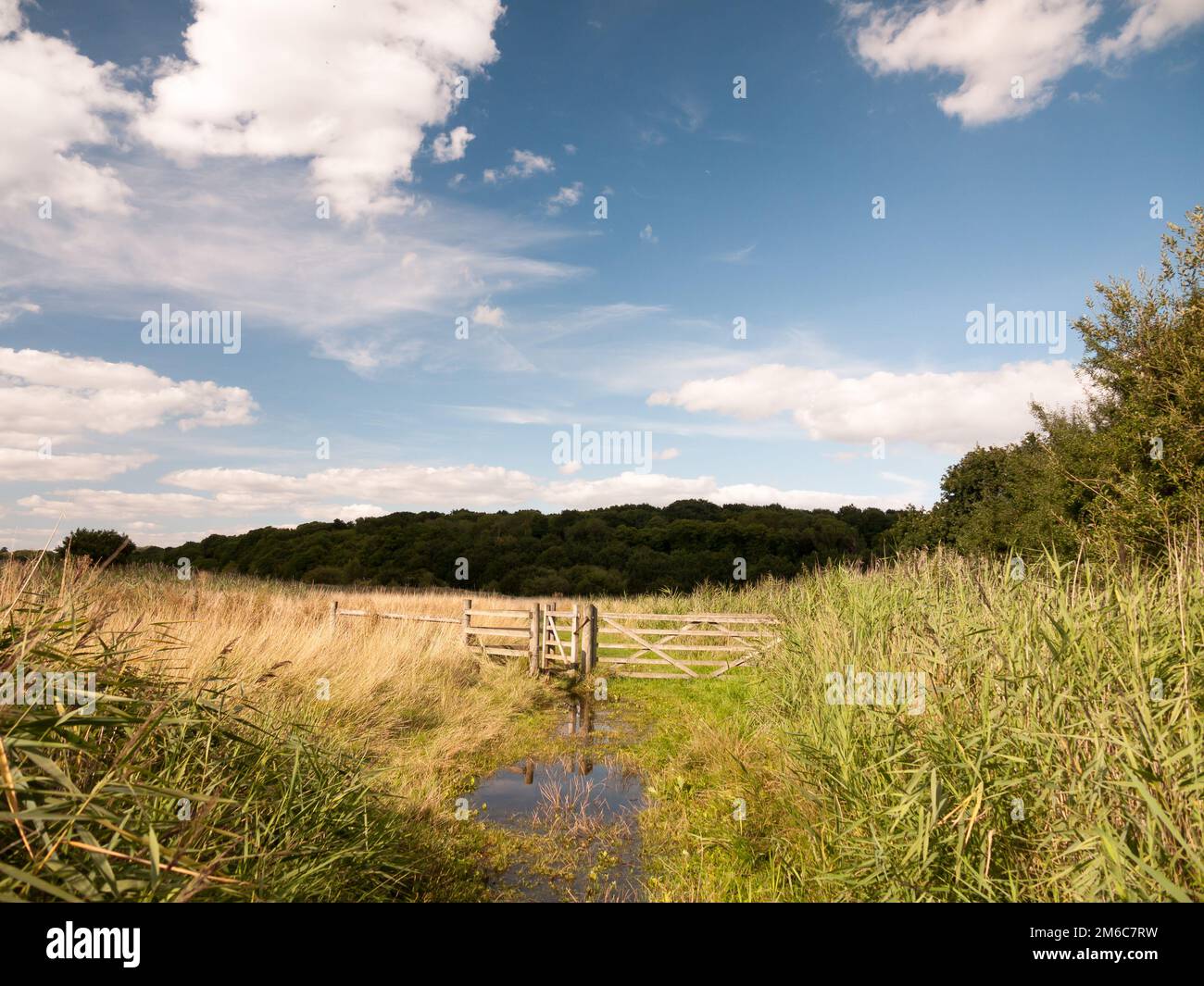 Eine Wiese mit Holzzaun und Tor, blauem Himmel und grünem Gras Stockfoto