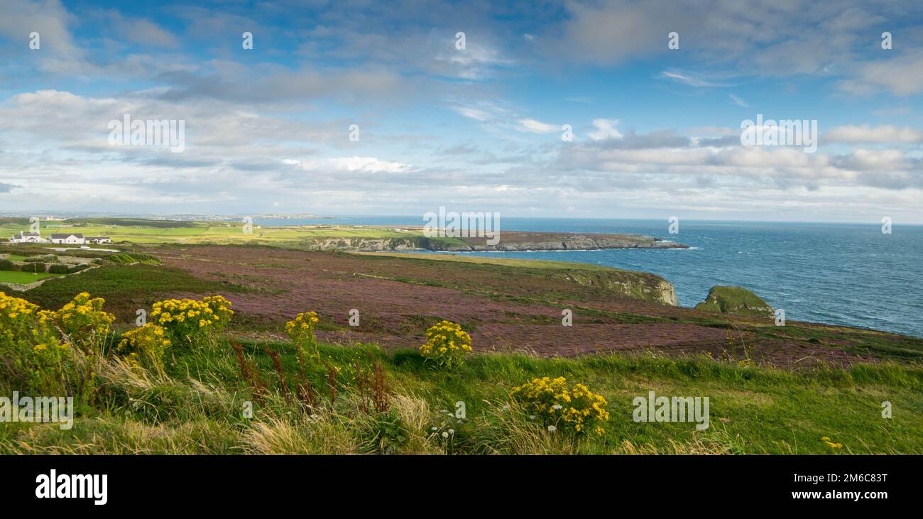 Küste, North Wales Stockfoto