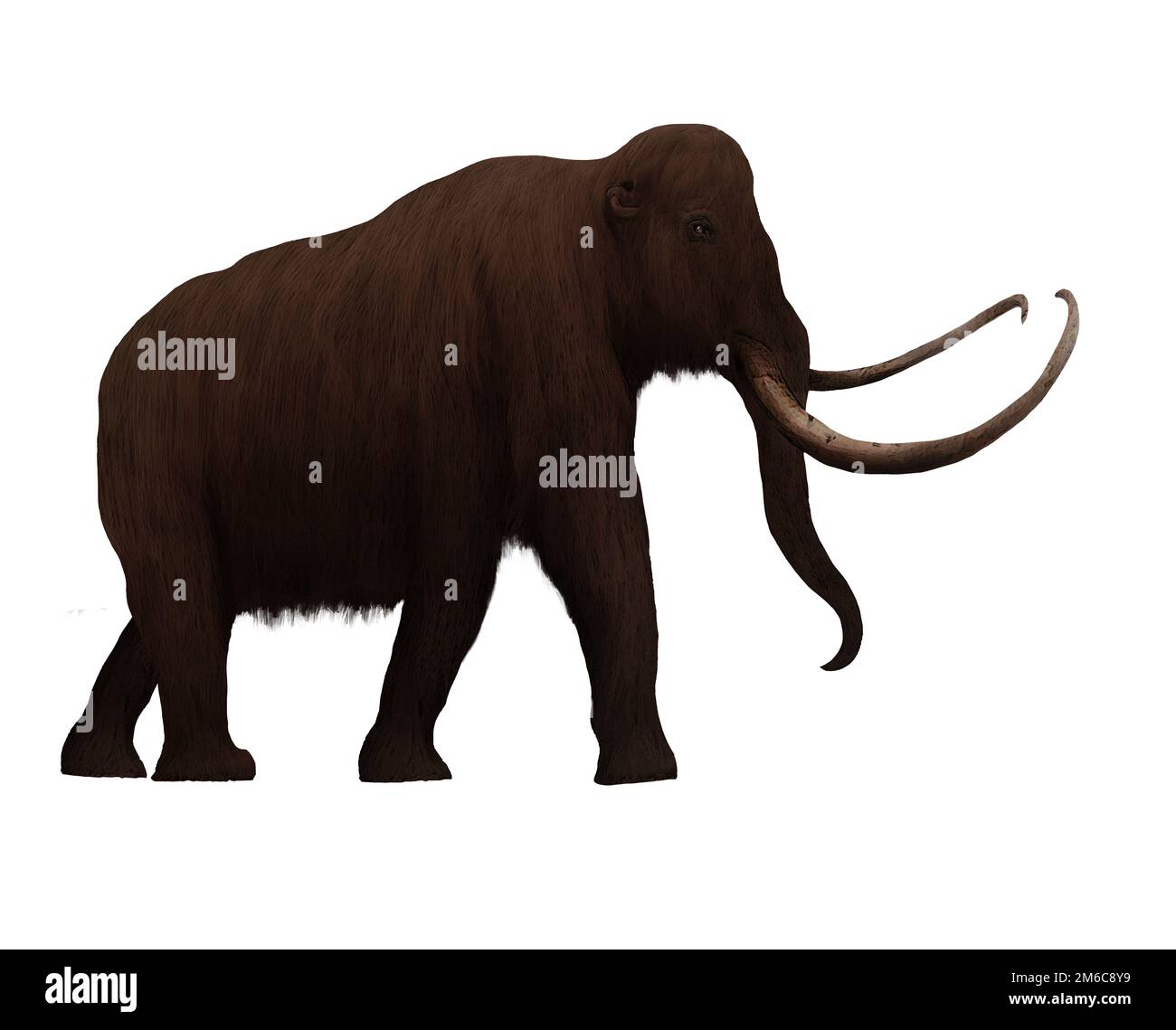 Wollly Mammoth Walking Ice Age Digital Art Von Winters860 Isoliert, Transparenter Hintergrund Stockfoto