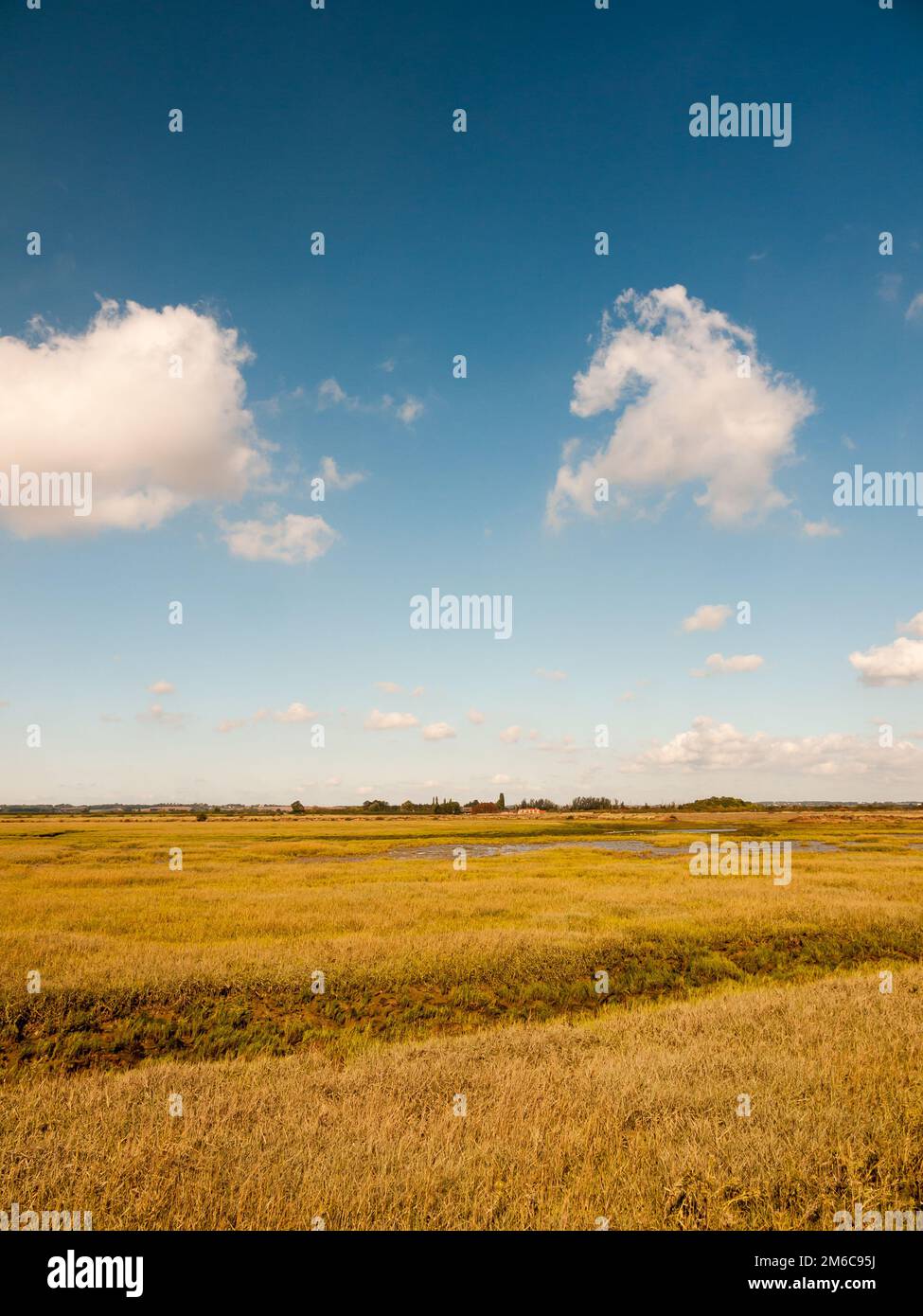 Offene Marschlandschaft mit blauem Himmel, Wolken und Gras Stockfoto