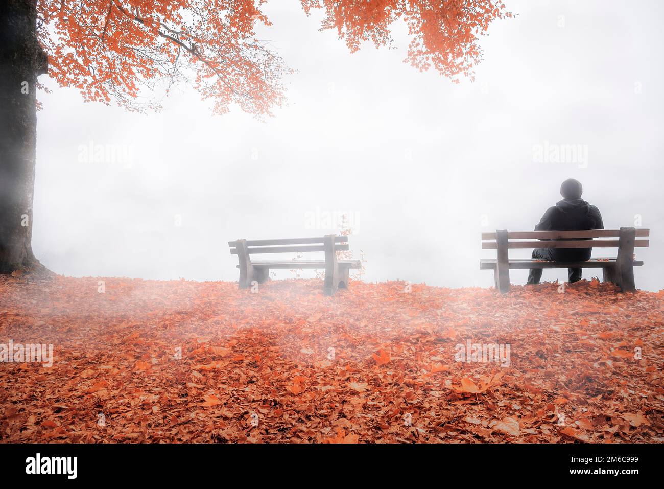 Mann auf der Werkbank eingehüllt durch Nebel im Herbst Dekor Stockfoto