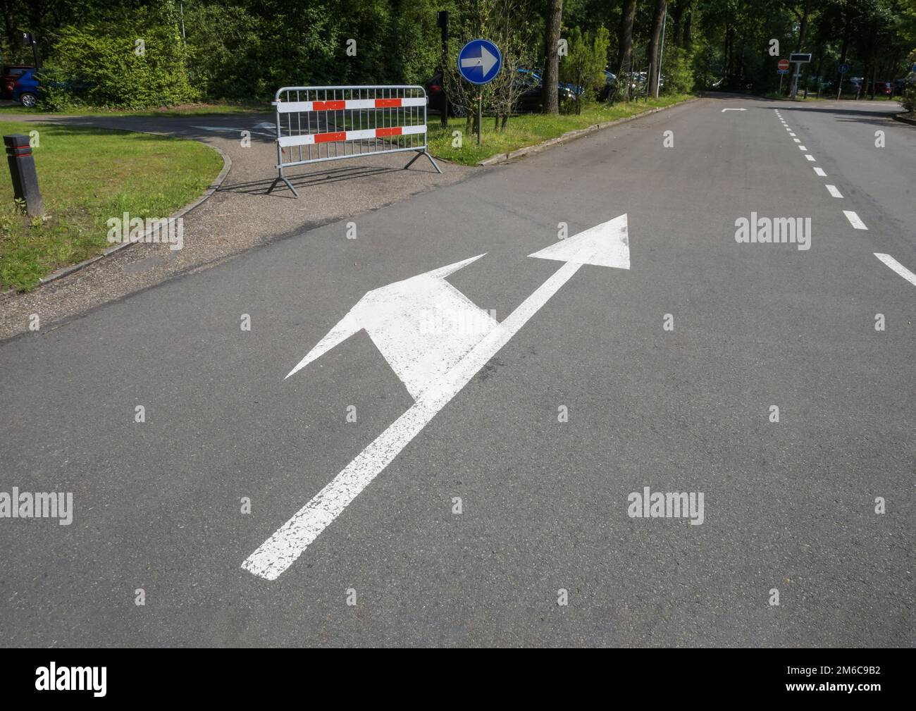 Straßenschild, Fahrbahnmarkierungen - geradeaus und nach links abbiegen, durch einen Zaun geschlossen Stockfoto