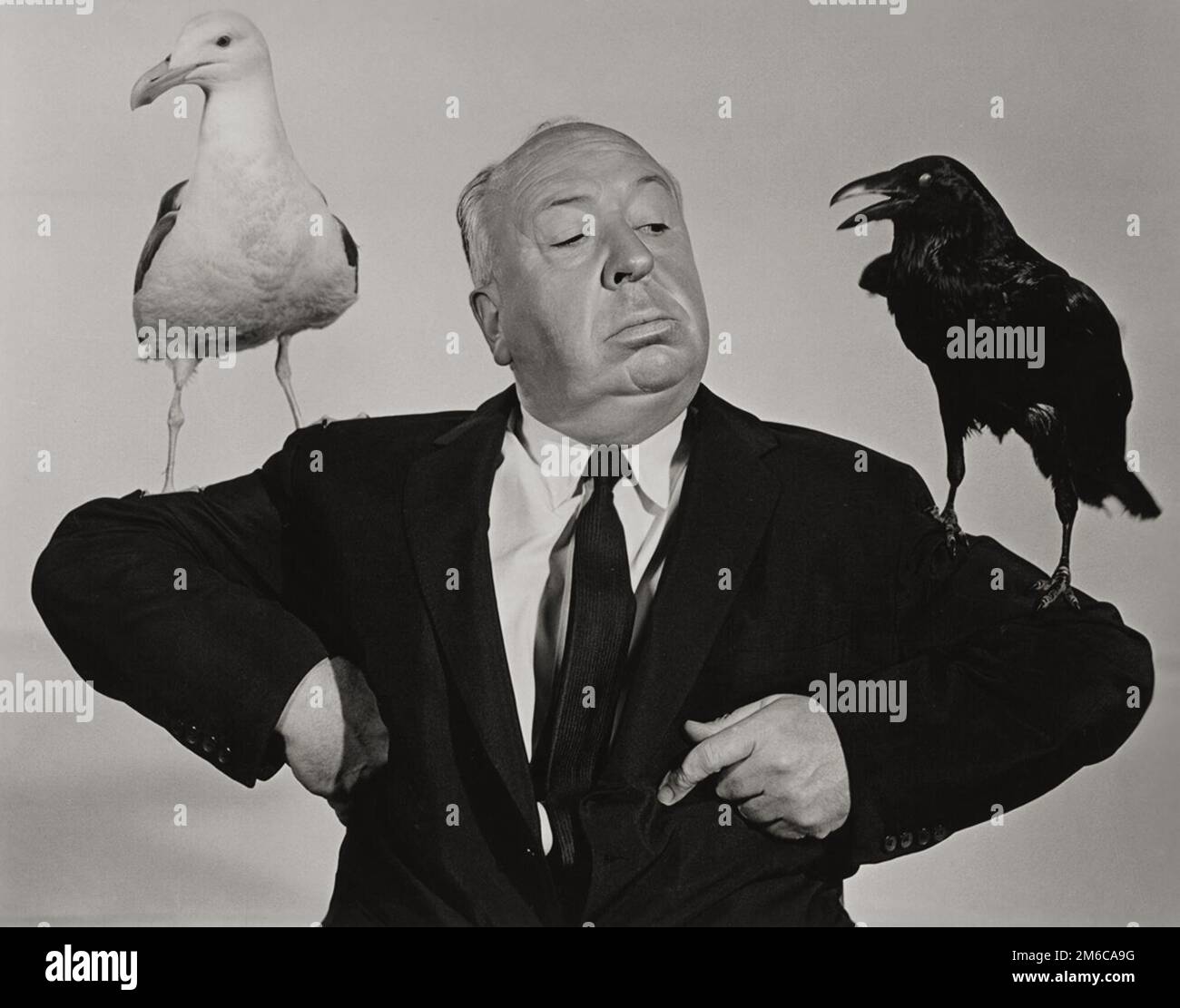 Alfred Hitchcock, Werbefoto für Birds, 1963 Stockfoto