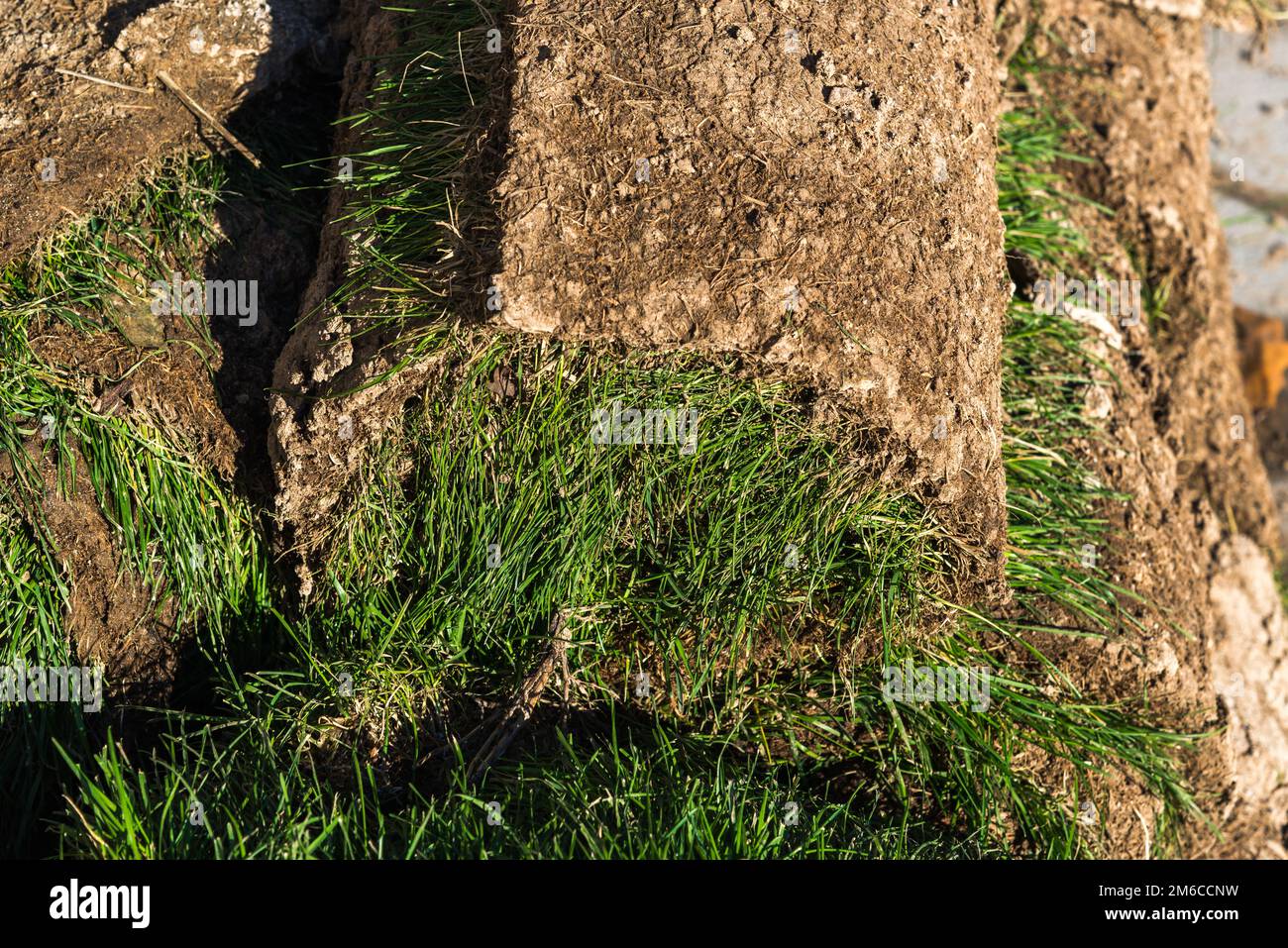 Der gerollte Rasen wurde im Freien gestapelt Stockfoto