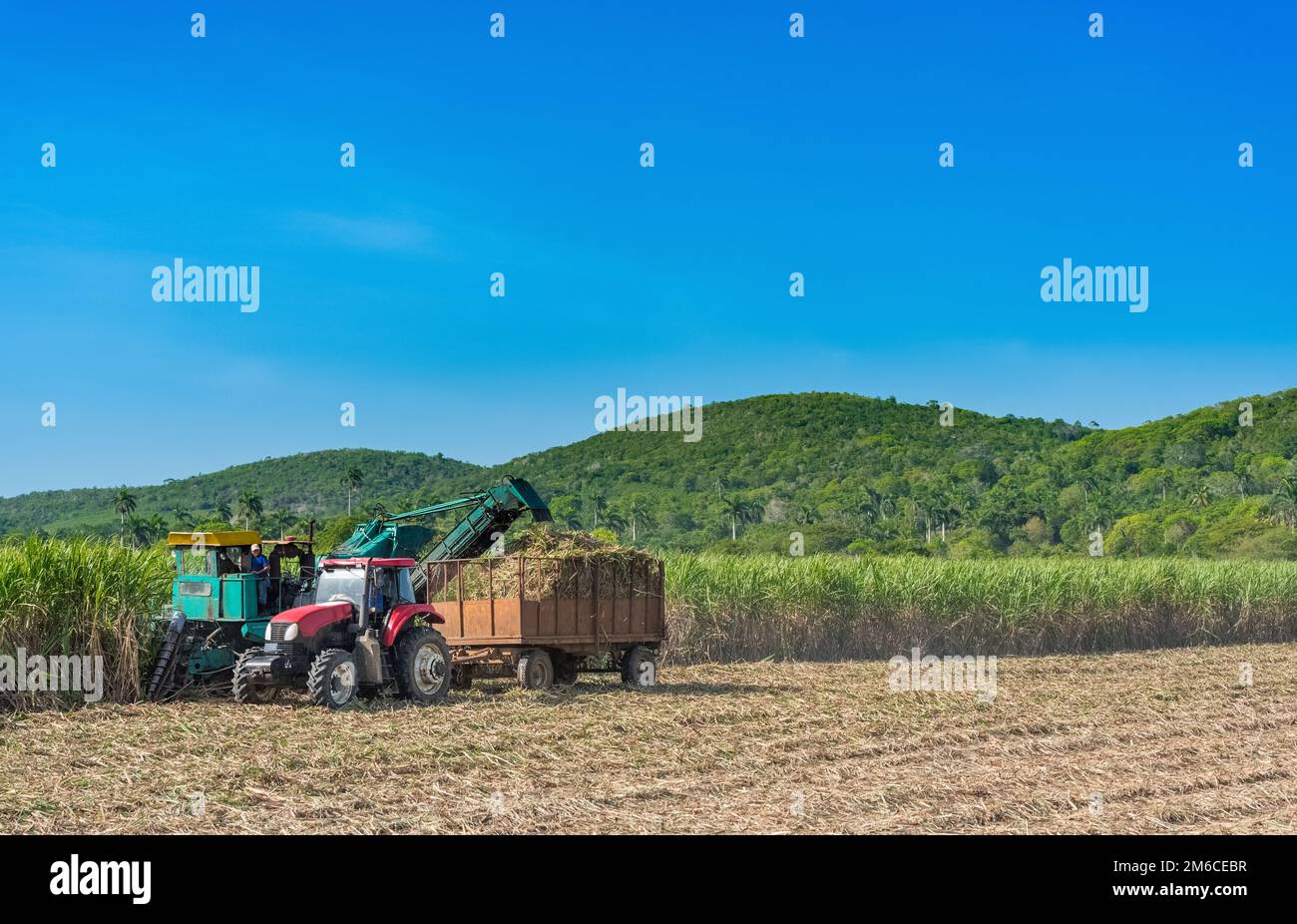 Zuckerrohr Ernte auf dem Feld mit einem Mähdrescher in Santa Clara in Kuba - Serie Kuba Reportage Stockfoto
