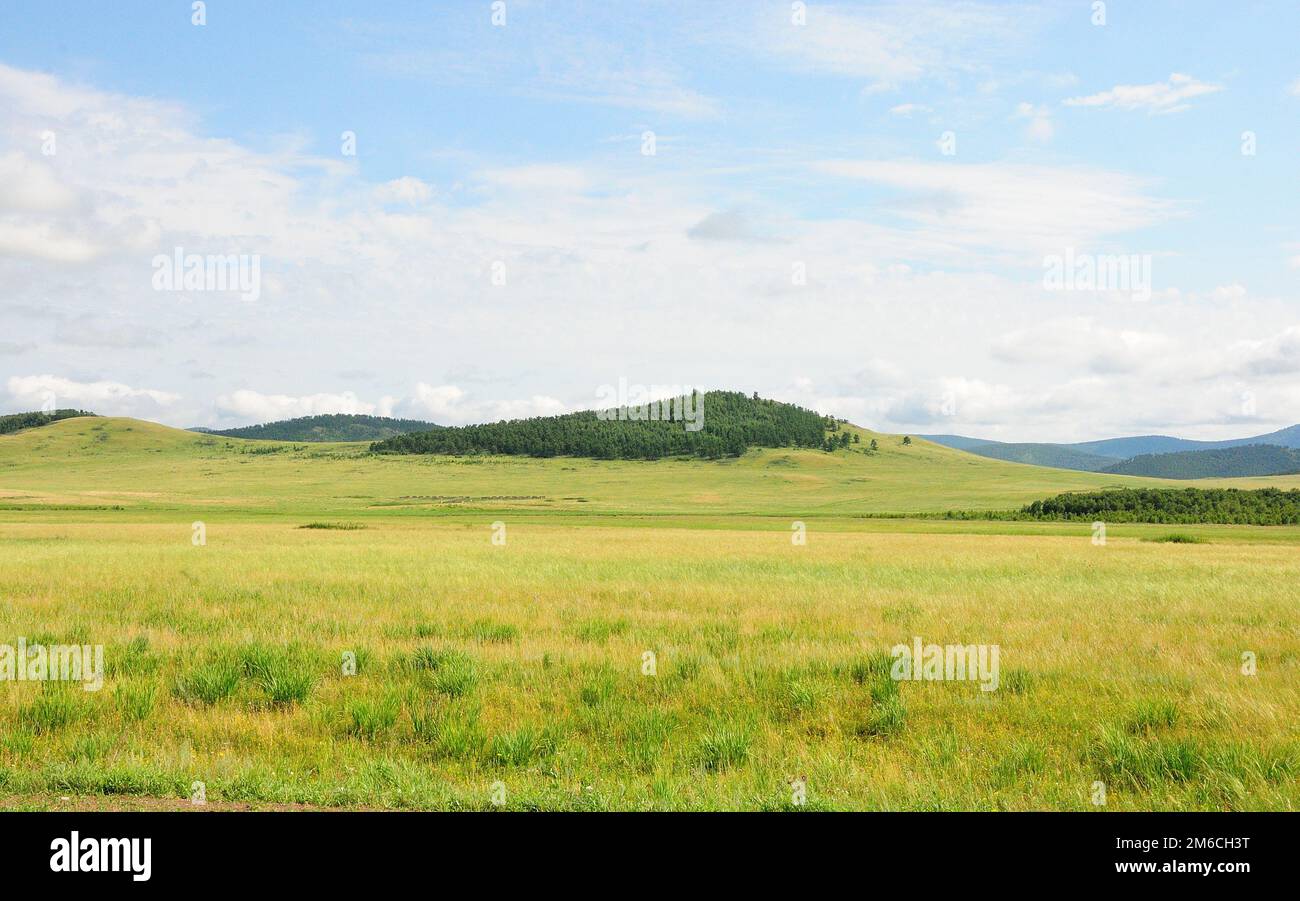 Endlose hügelige Steppe mit üppigem grünen Gras unter einem sommerlichen bewölkten Himmel. Chakassia, Sibirien, Russland. Stockfoto