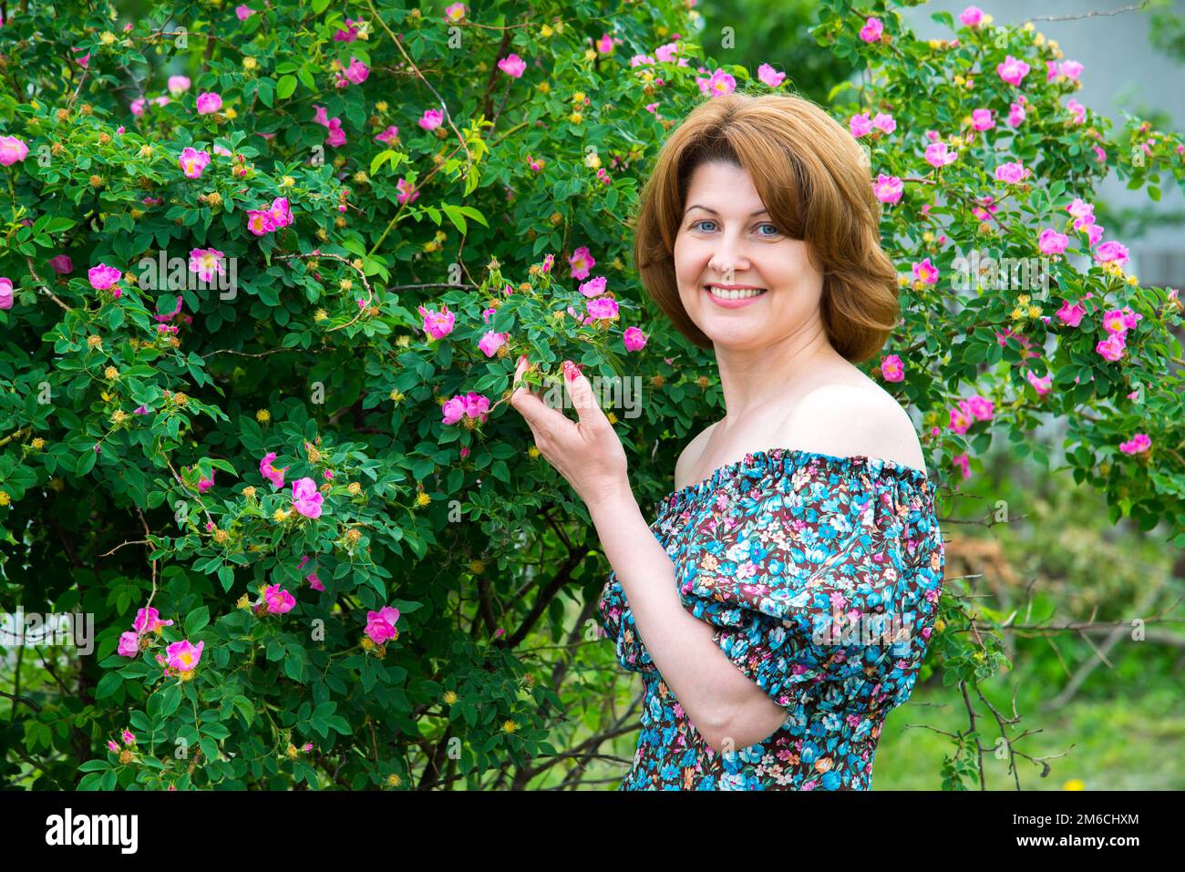 Lächelnde Frau, die in der Nähe von blühenden Dog Rose Stockfoto