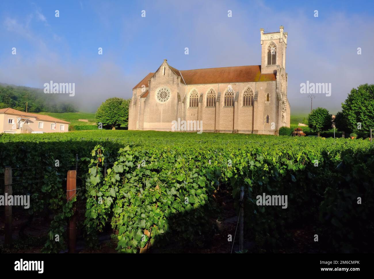 Fuisse: Kirche Saint-Germain in den Weinbergen kurz nach Sonnenaufgang in Fuisse, Saone et Loire, Bourgogne, Frankreich Stockfoto