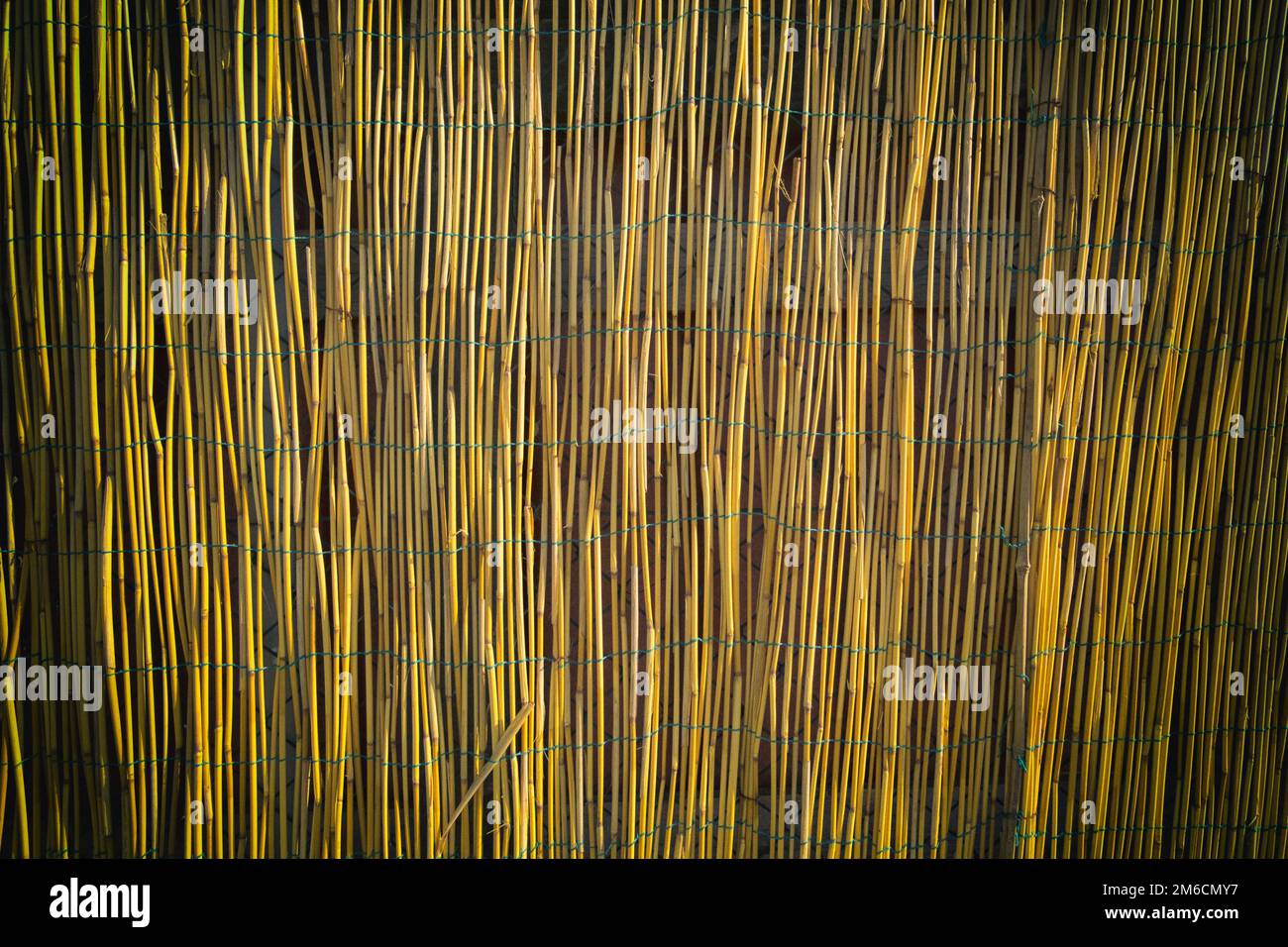 Bambus graffiti Fotos und Bildmaterial in hoher Auflösung Alamy