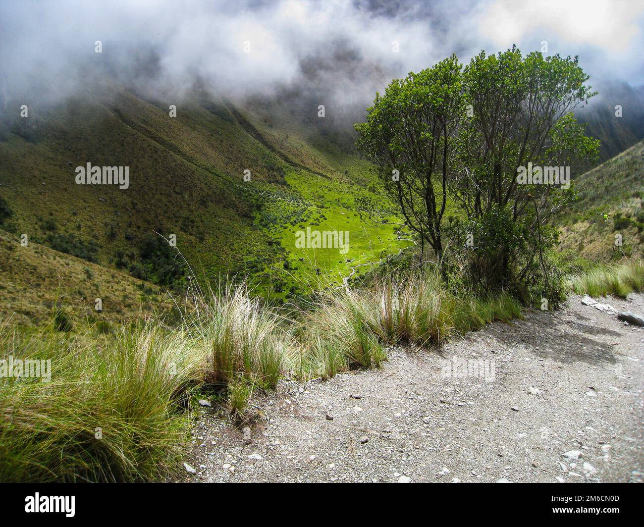 Wanderung auf der alten Inka Trail gepflasterten Weg nach Machu Picchu. Peru. Es gibt keine Personen, die Stockfoto