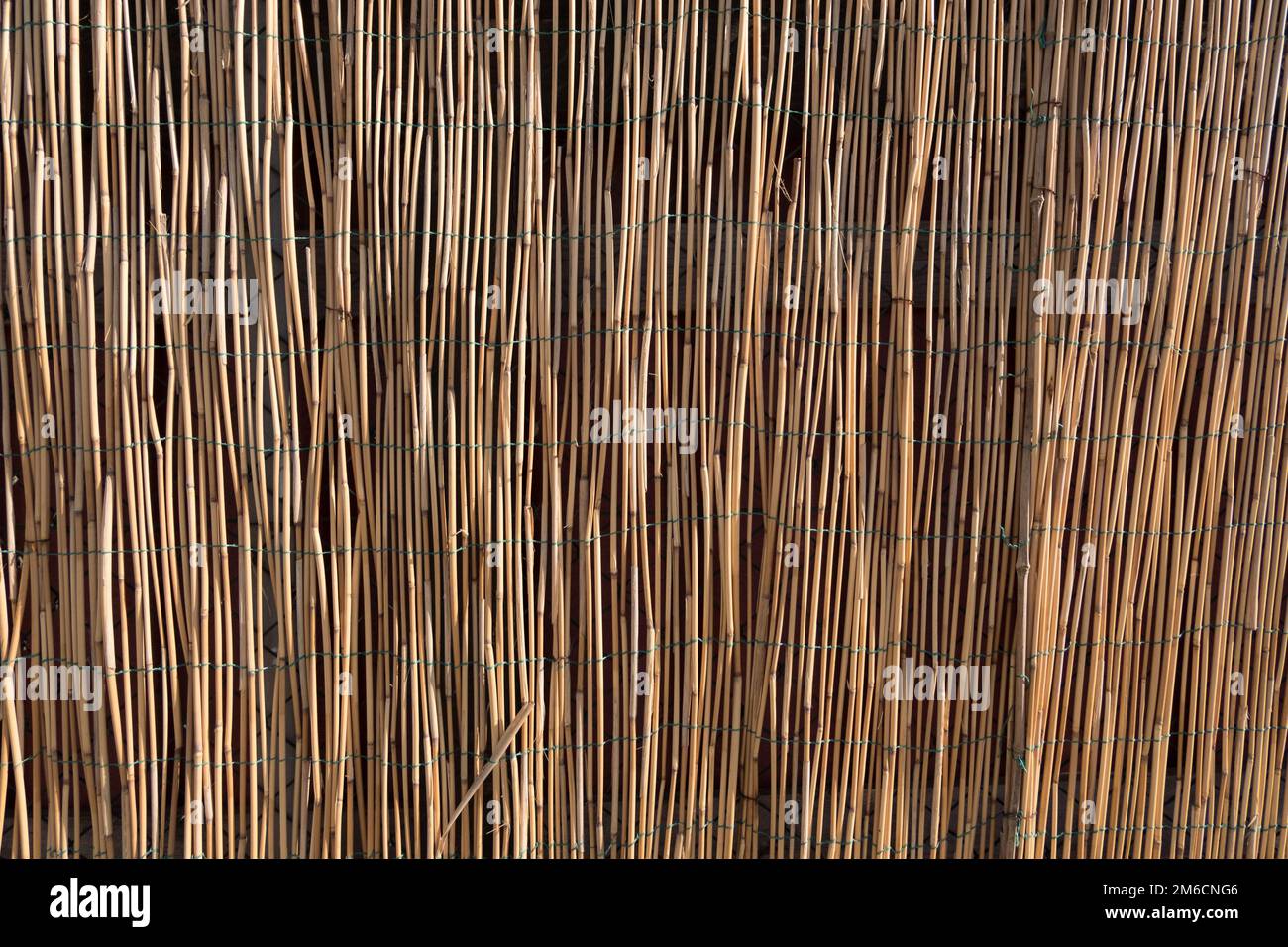 Bambus graffiti Fotos und Bildmaterial in hoher Auflösung Alamy