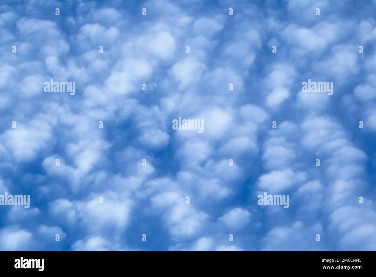 Aufgeblasene Cirrocumulus-Wolken vor blauem Himmel Stockfoto
