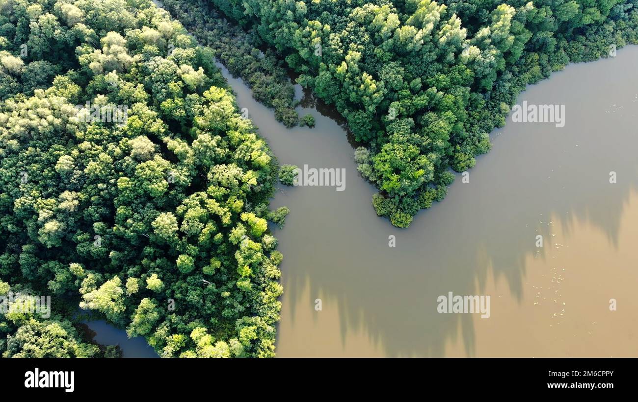 Luftaufnahme der Amazonaswälder und des Flusses. Stockfoto