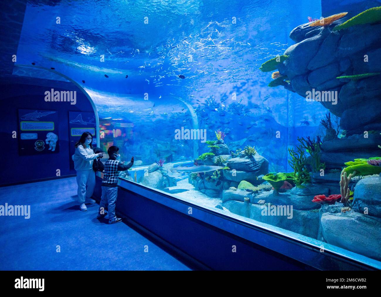 Jiujiang. 4. Januar 2023. Touristen besuchen zum Schutz der Artenvielfalt im Fluss Yangtze und am Poyang-See ein Wasserorganismus-Schutzzentrum im Bezirk Hukou in der Stadt Jiujiang in Ostchina, Provinz Jiangxi, am 31. Dezember 2022. PASSEND zu '12.000 endemischen Wasserarten, die in Ostchina's neuem Schutzzentrum konserviert werden' Kredit: Xinhua/Alamy Live News Stockfoto