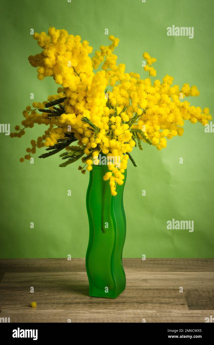 Spring Bouquet mit Mimosen und Tulpen in der Vase Stockfoto