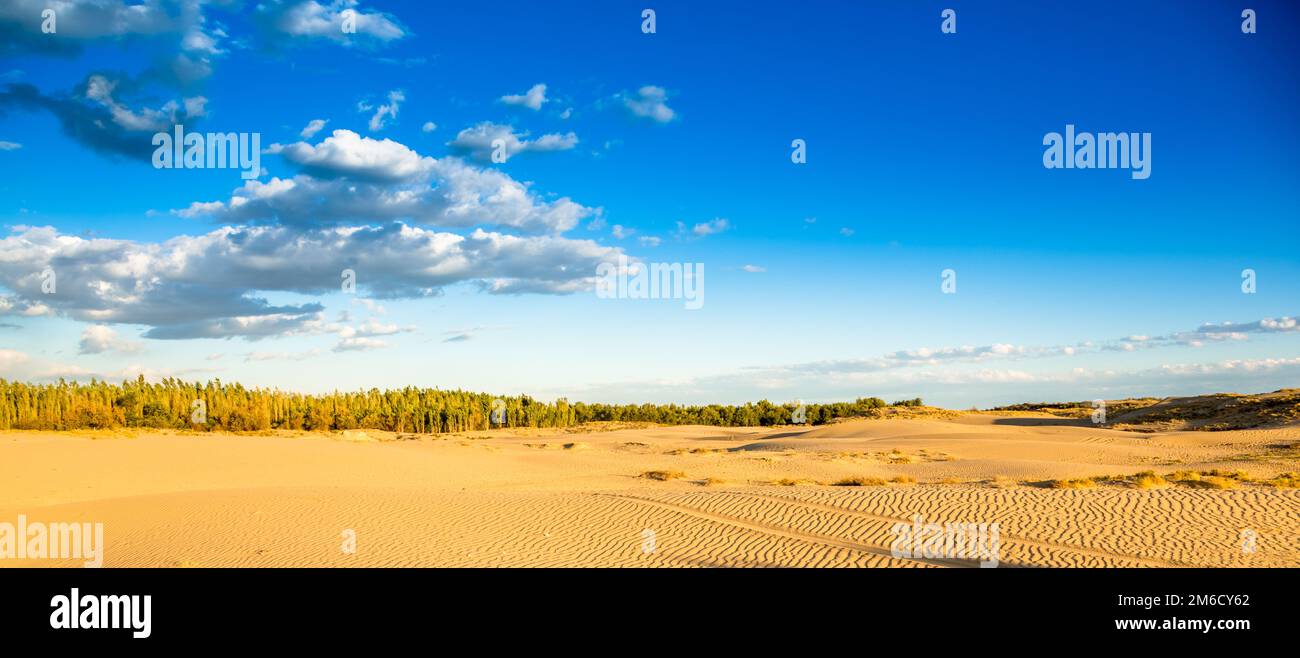 Wüste Stockfoto