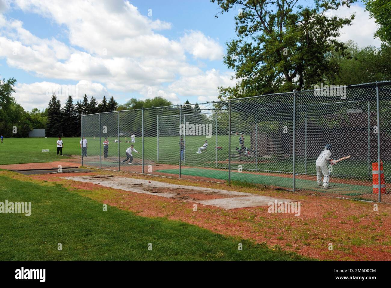Ein Cricketspieler, der seinen Schwung in einem Schlagkäfig im Riley Park, Calgary, Alberta, Kanada, übt Stockfoto