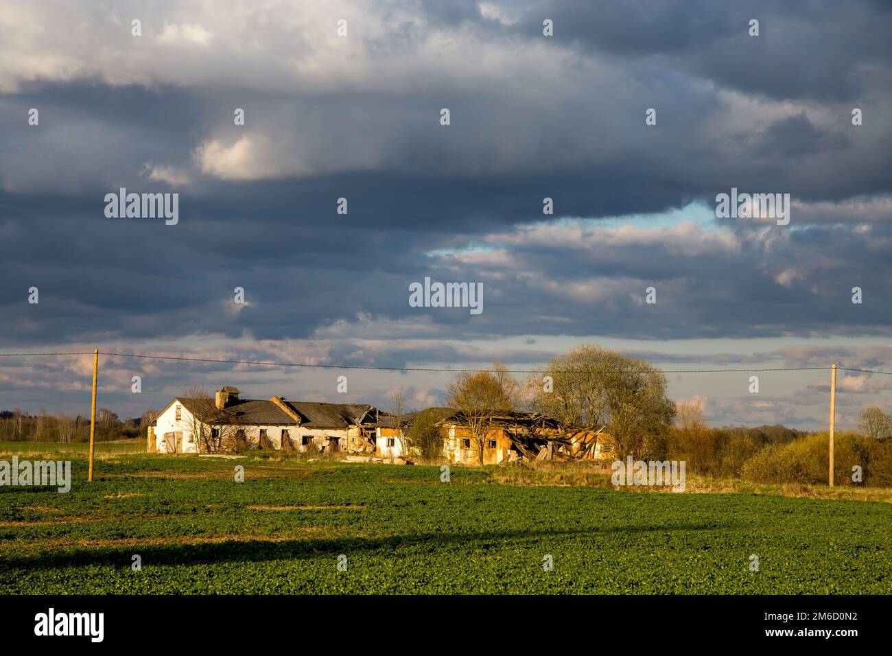 Landschaft mit Getreidefelder, altem Bauernhaus und blauem Himmel. Stockfoto