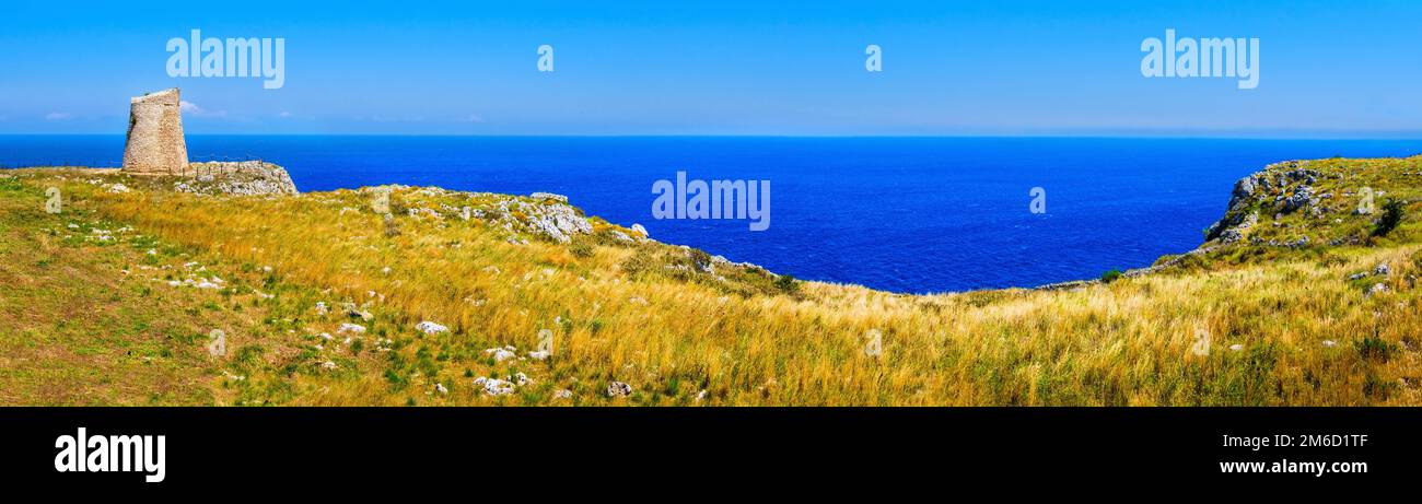 Salento auf dem Land Panoramaaussicht Wachtturm coastal Marine gras Apulien Italien Stockfoto