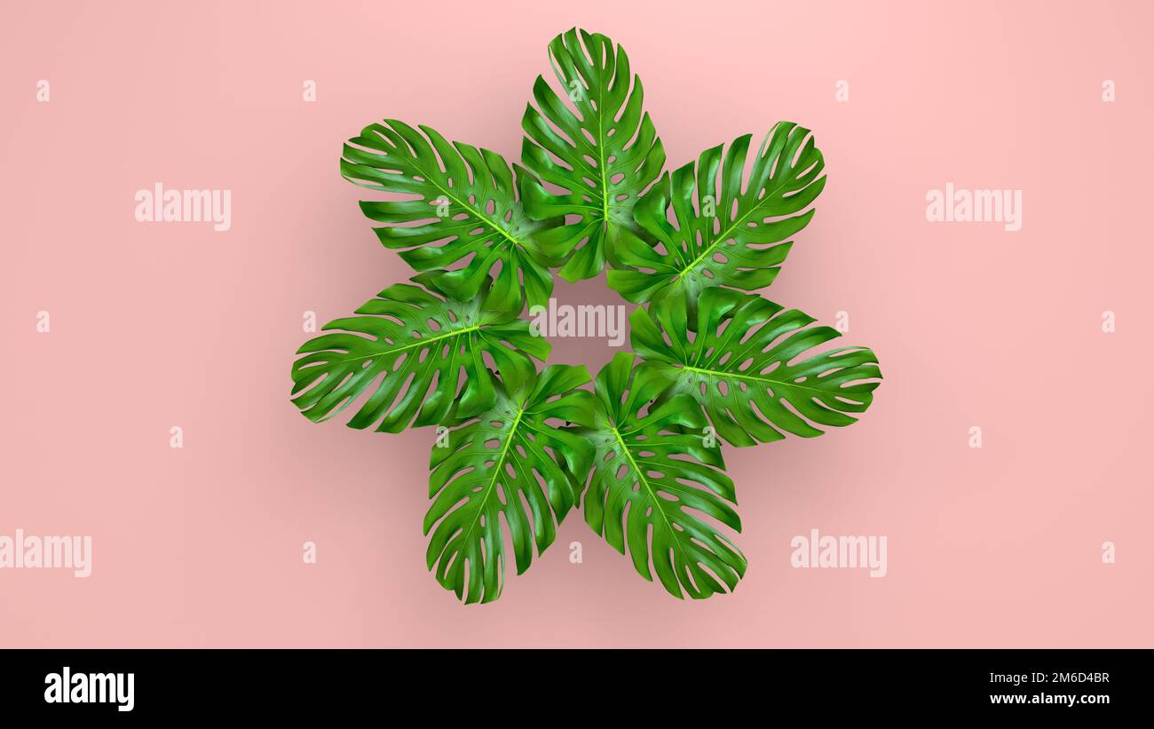 Realistische Palmenblätter auf Coral Living Hintergrund für kosmetische Werbung oder Modeillustrierung. Tropischer Rahmen, exotische Bananenpalme. Sal Stockfoto
