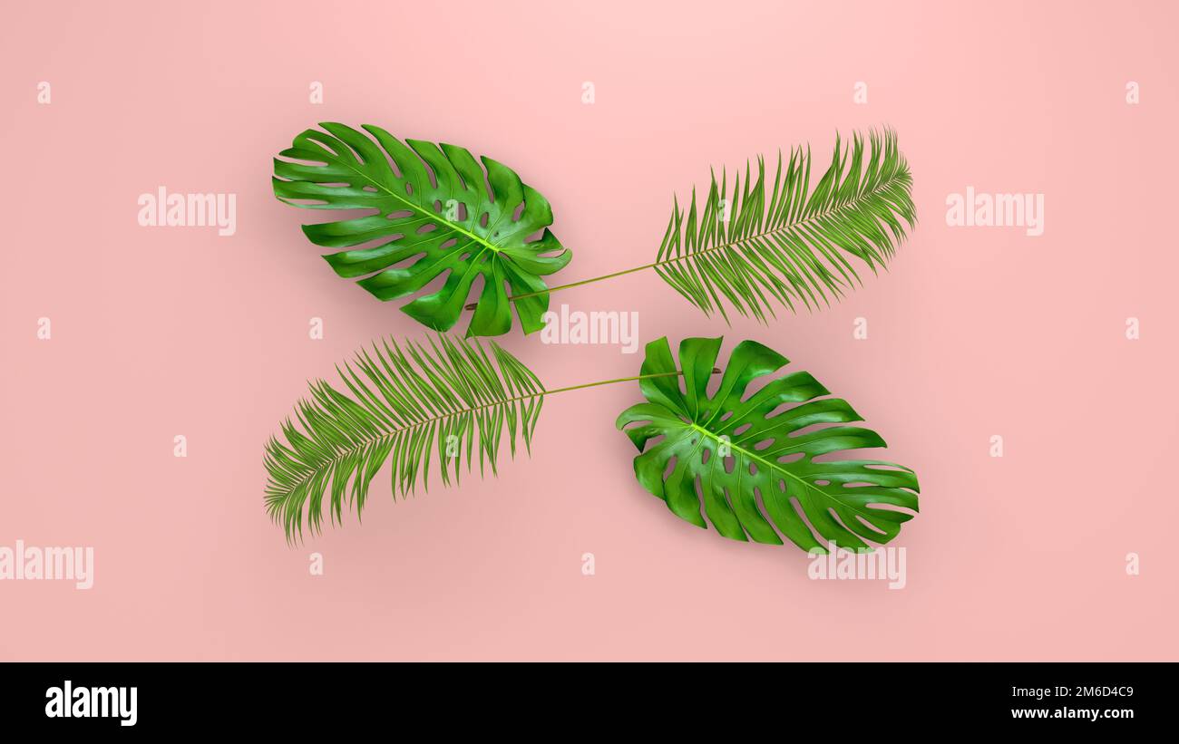 Realistische Palmenblätter auf Coral Living Hintergrund für kosmetische Werbung oder Modeillustrierung. Tropischer Rahmen, exotische Bananenpalme. Sal Stockfoto
