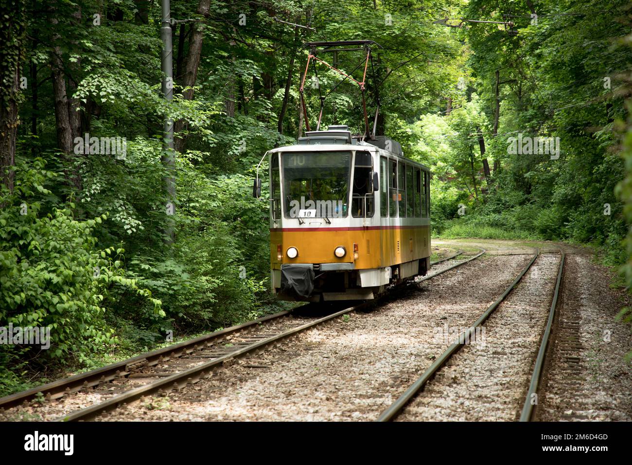 Der gelbe bulgarische Zug fährt durch den dicken grünen Wald in der bulgarischen Hauptstadt Sofia. Stockfoto