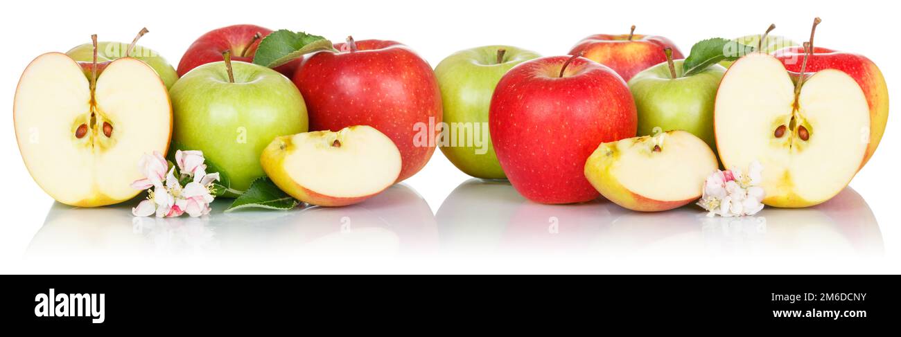 Apfelfrüchte rote und grüne Äpfel frisches Obst isoliert auf weiß hintereinander Stockfoto