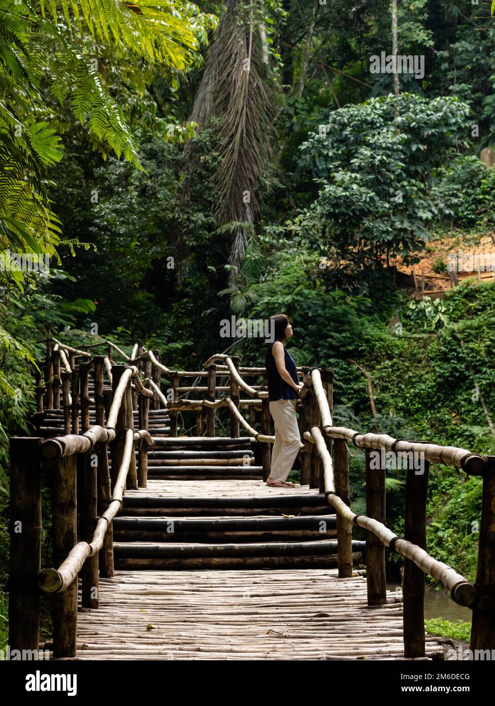 Junge modische Frau auf einem Bambus Brücke Stockfoto