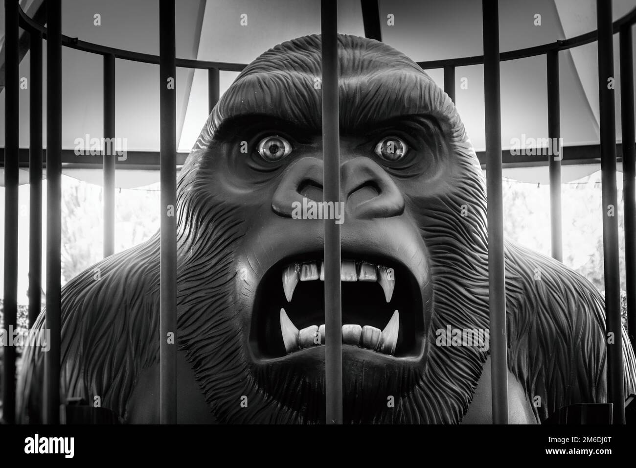 Der wütende Gorilla hat King Kong eingesperrt Stockfoto