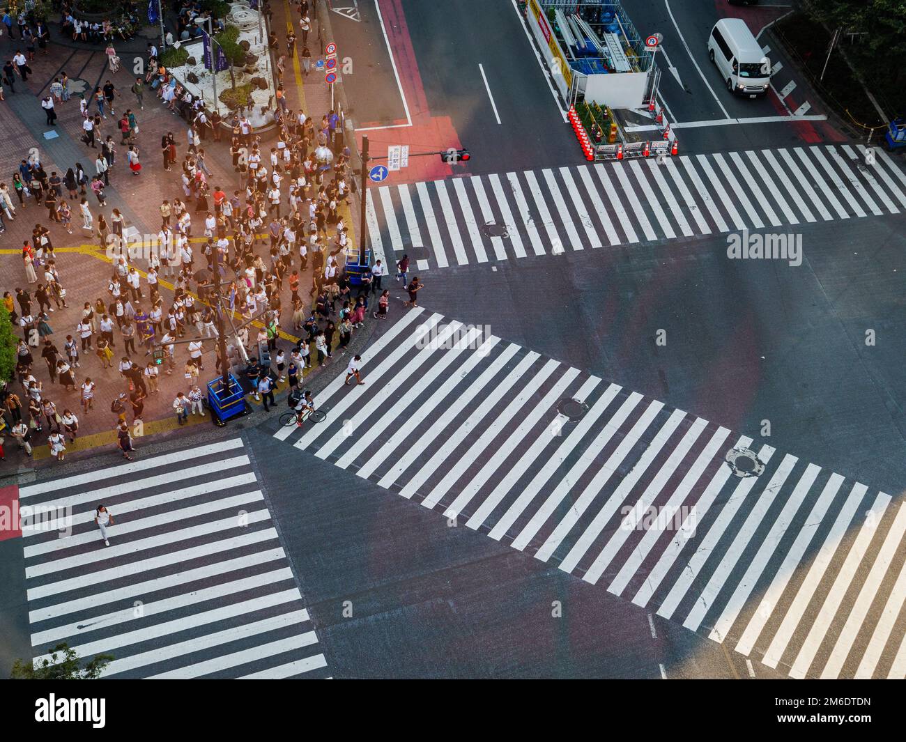 Shibuya, Japan - 23 9 19: Menschen, Die Shibuya Am Abend Mit voller Überfahrt überqueren Stockfoto
