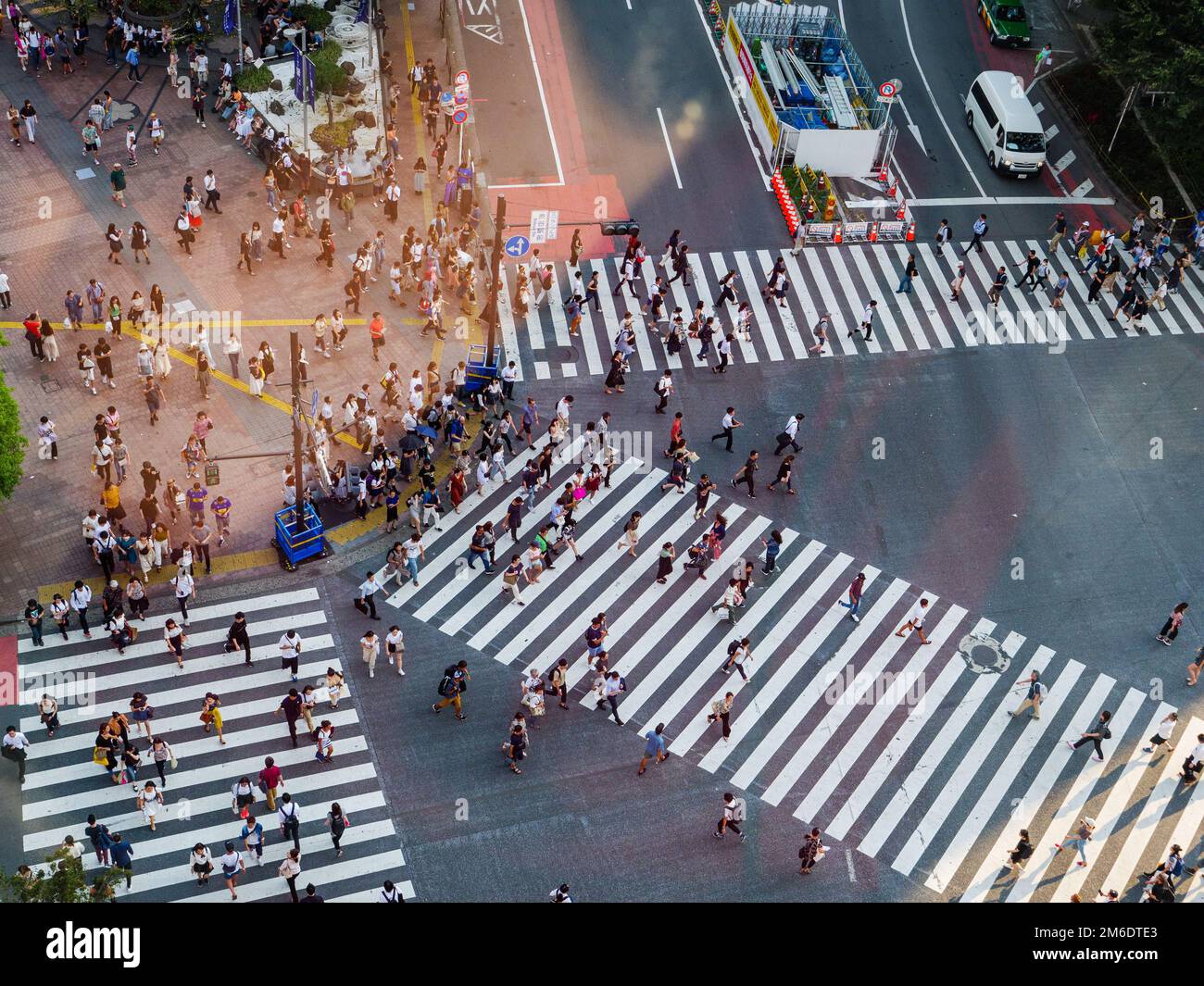 Shibuya, Japan - 23 9 19: Menschen, Die Shibuya Am Abend Mit voller Überfahrt überqueren Stockfoto