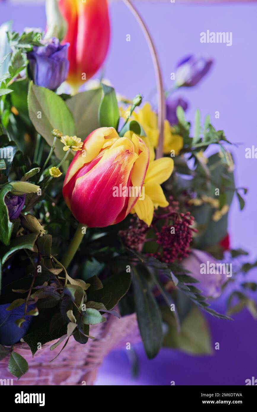 Ein Bouquet von verschiedenen lebendigen Blumen auf violettem Hintergrund Stockfoto