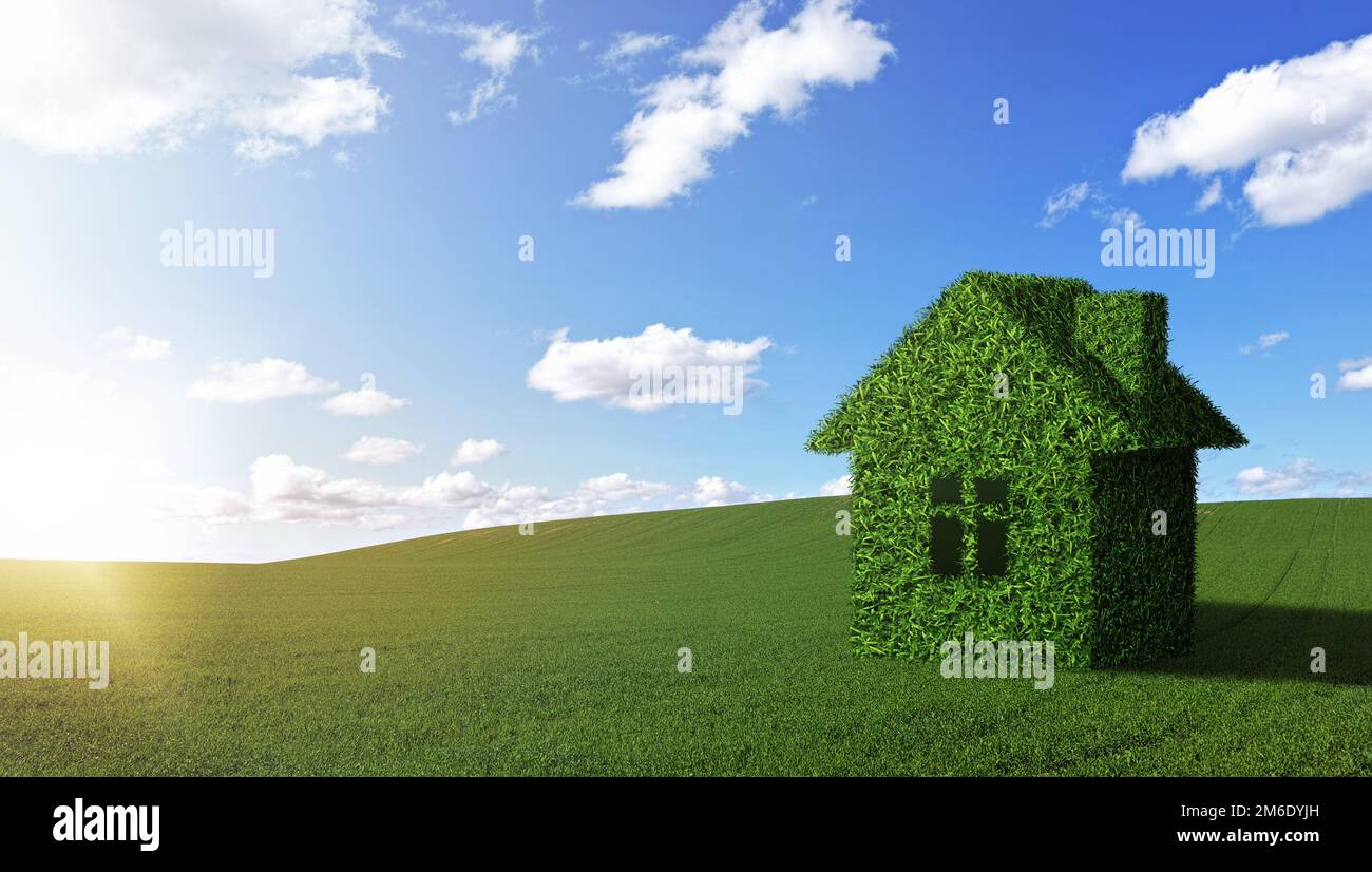 Immobilienfeld, blauer Himmel und Grashaus für umweltfreundliches Architekturdesign, Nachhaltigkeit und Investitionen in Landschaftsgrundstücke. Landwirtschaft Stockfoto