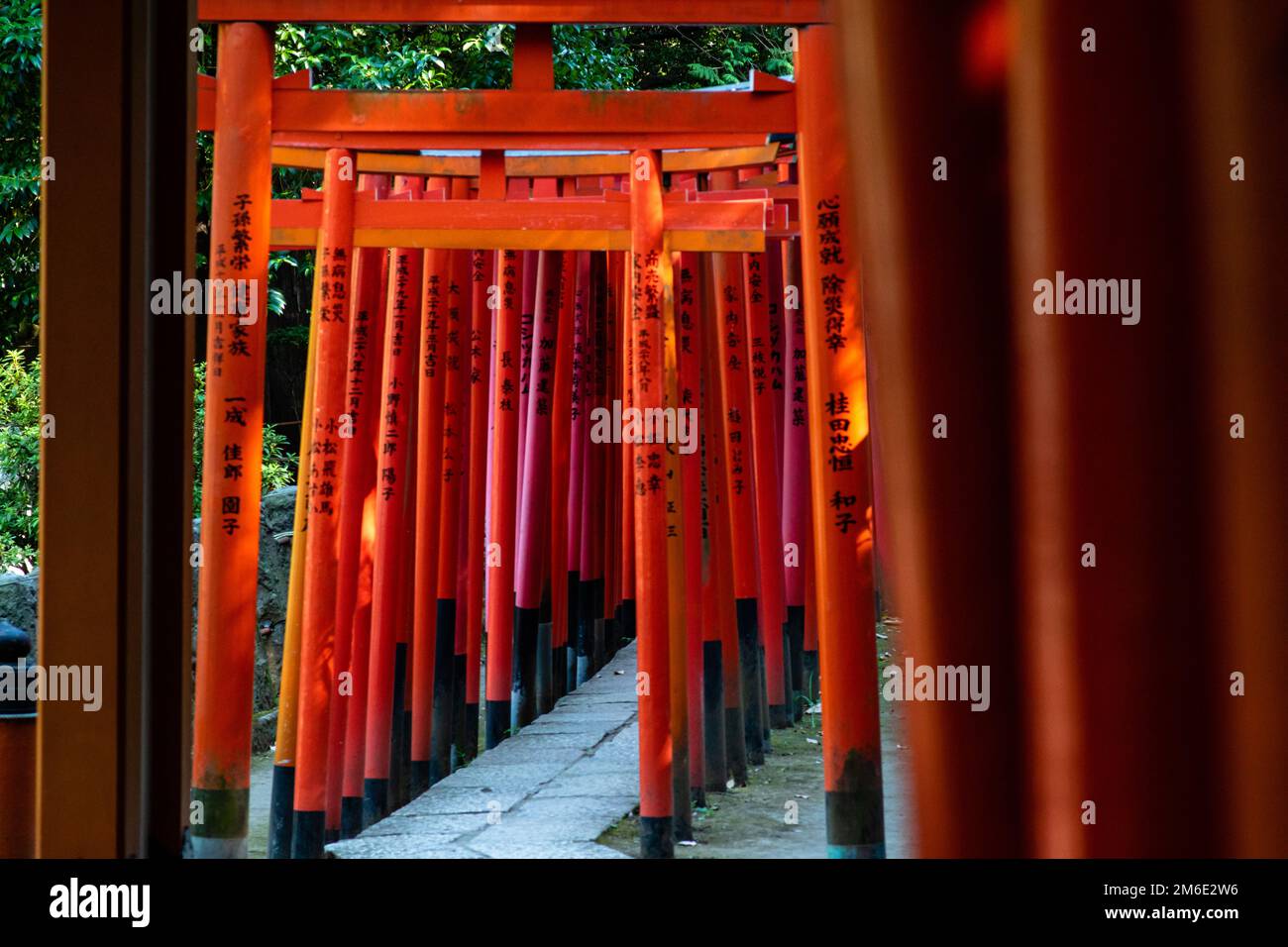 Tokio, Japan - 9 8 2019: Die Reihen der roten Torii-Tories im Nezu-Schrein Stockfoto