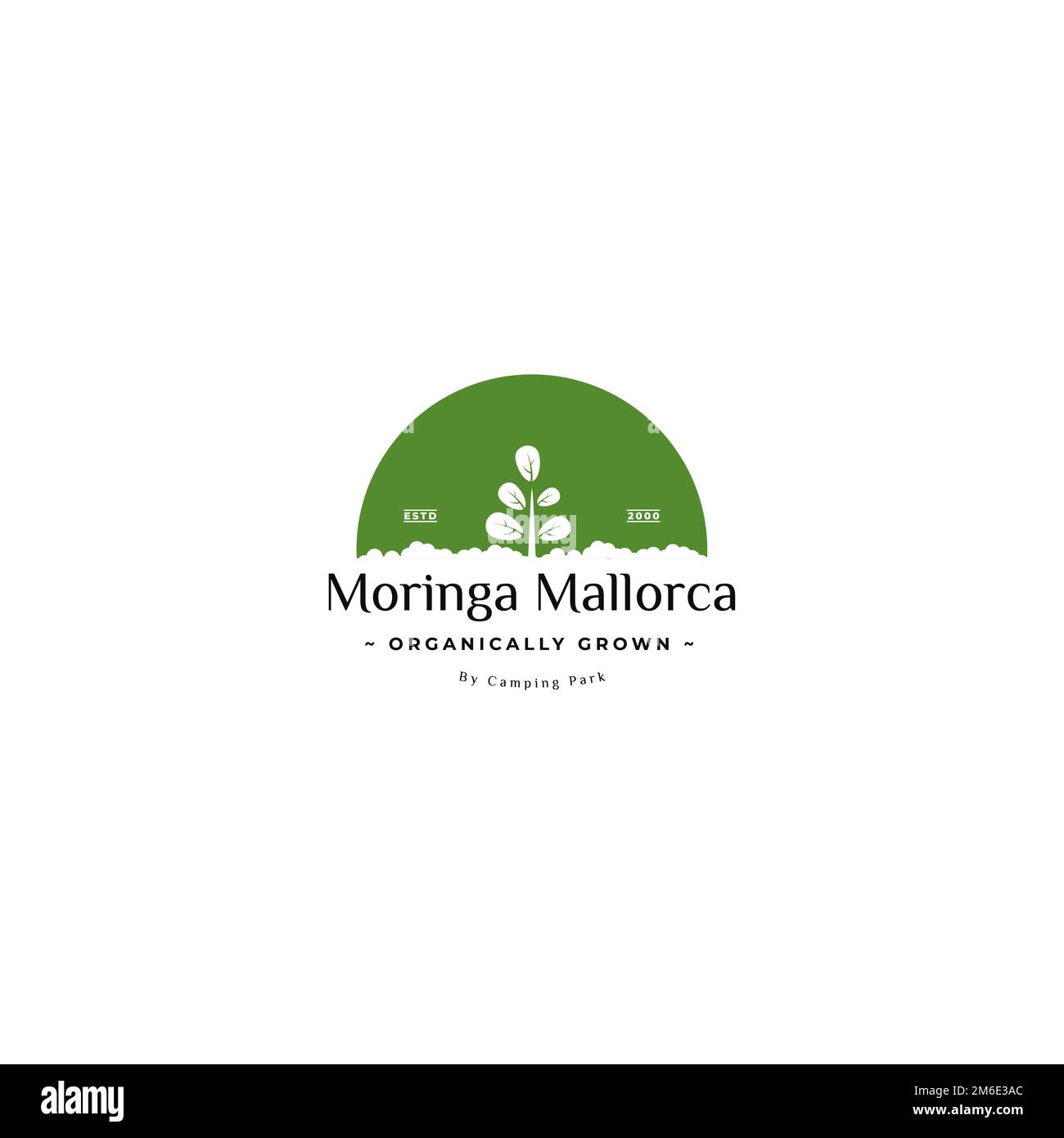 Moringa Garden Logo. Design des Moringa-Landwirtschaftslogos. Stock Vektor