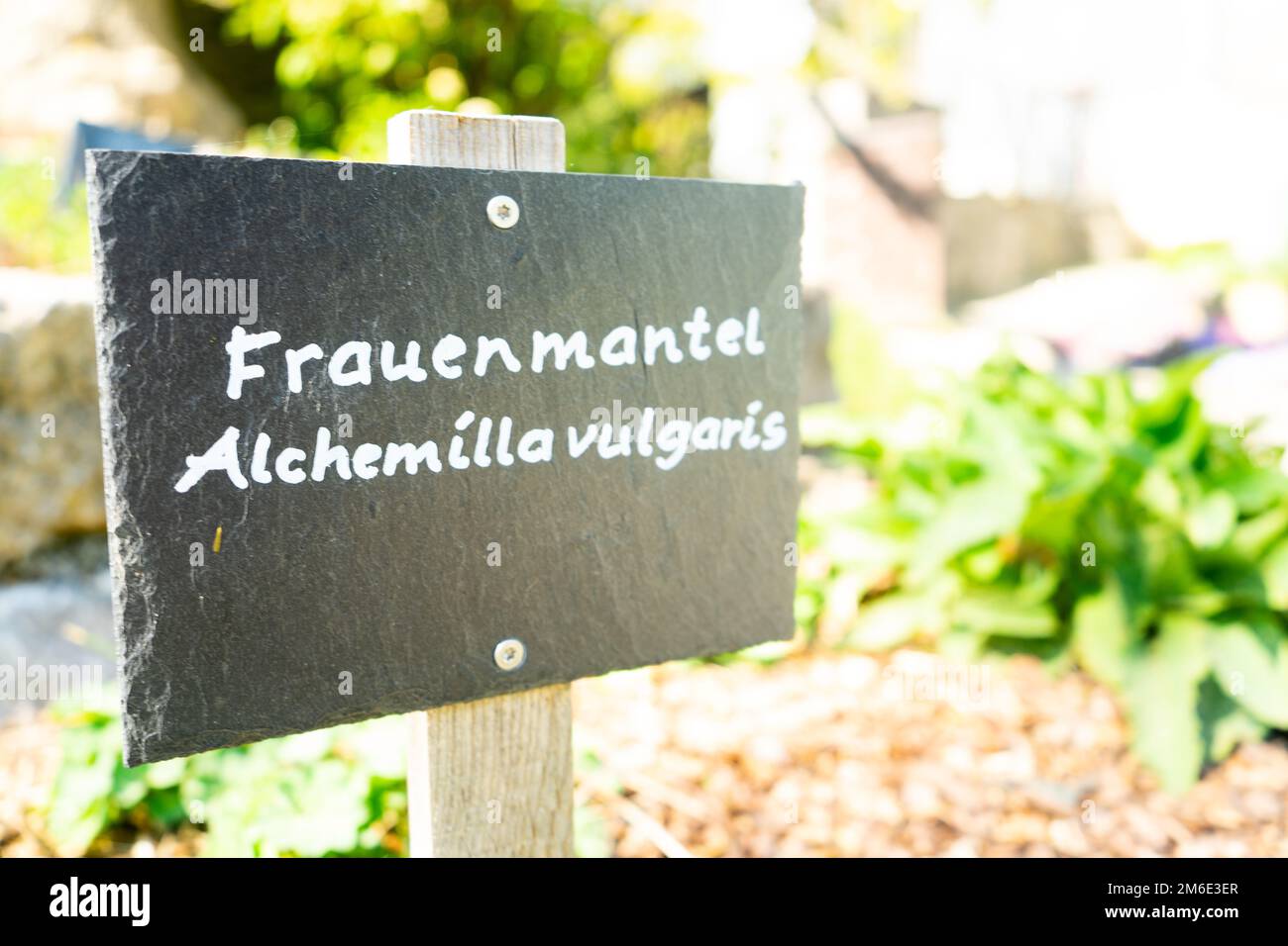 Schild mit LadyÂ-Manteltafel auf einem Garten mit Sonnenstrahlen und Pflanzen Stockfoto