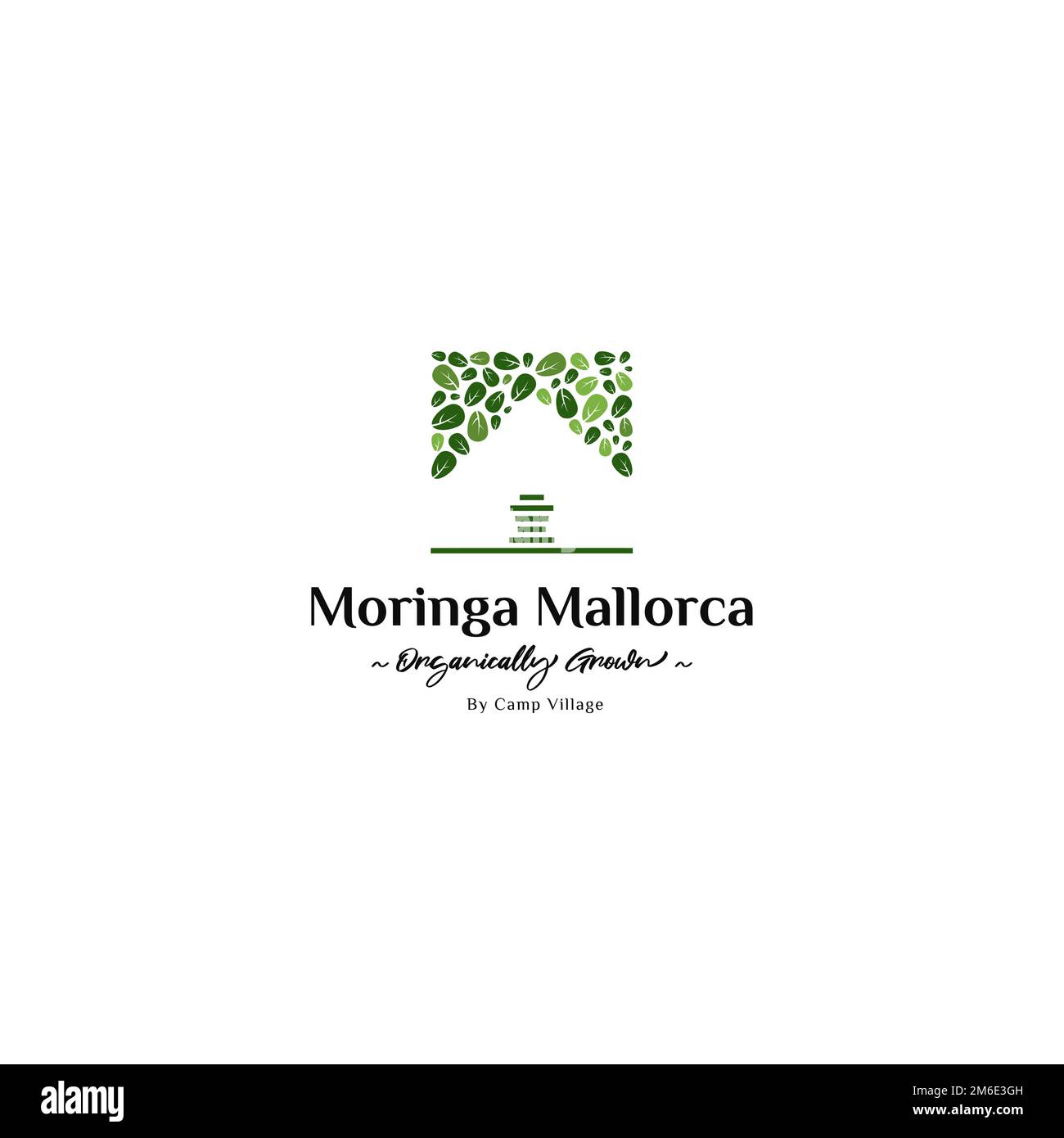 Inspiration für das Moringa Leaf Logo. Moringa-Plantage-Logo. Stock Vektor