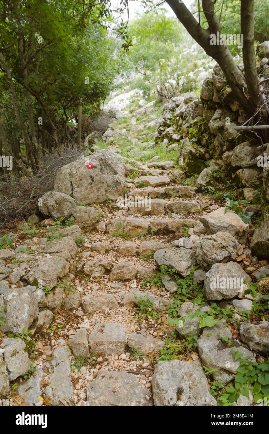 Wanderwege Rund Um Montenegro Stockfoto