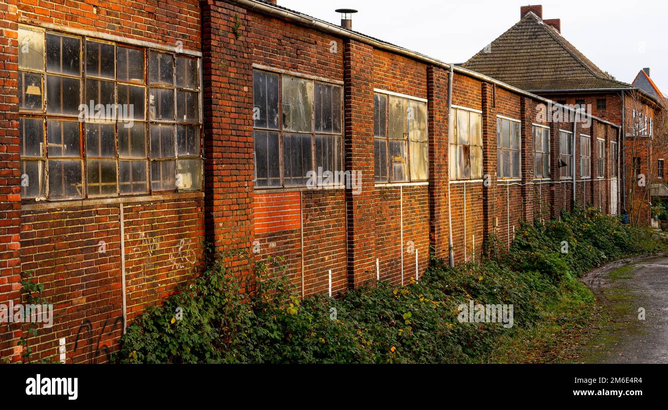 Alte Fabrikwand mit alten Fenstern und brauner Farbe Stockfoto