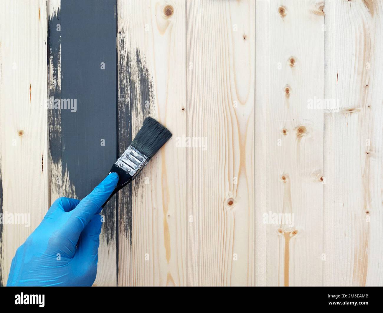 Die Hand eines Arbeiters in blauen Gummihandschuhen bemalt eine Holzwand mit einem Pinsel grauer Farbe. Reparieren Sie die Oberfläche. Stockfoto