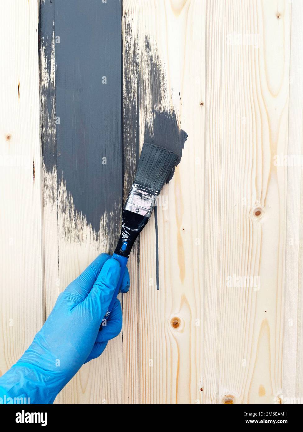 Die Hand eines Arbeiters in blauen Gummihandschuhen bemalt eine Holzwand mit einem Pinsel grauer Farbe. Reparieren Sie die Oberfläche. Stockfoto