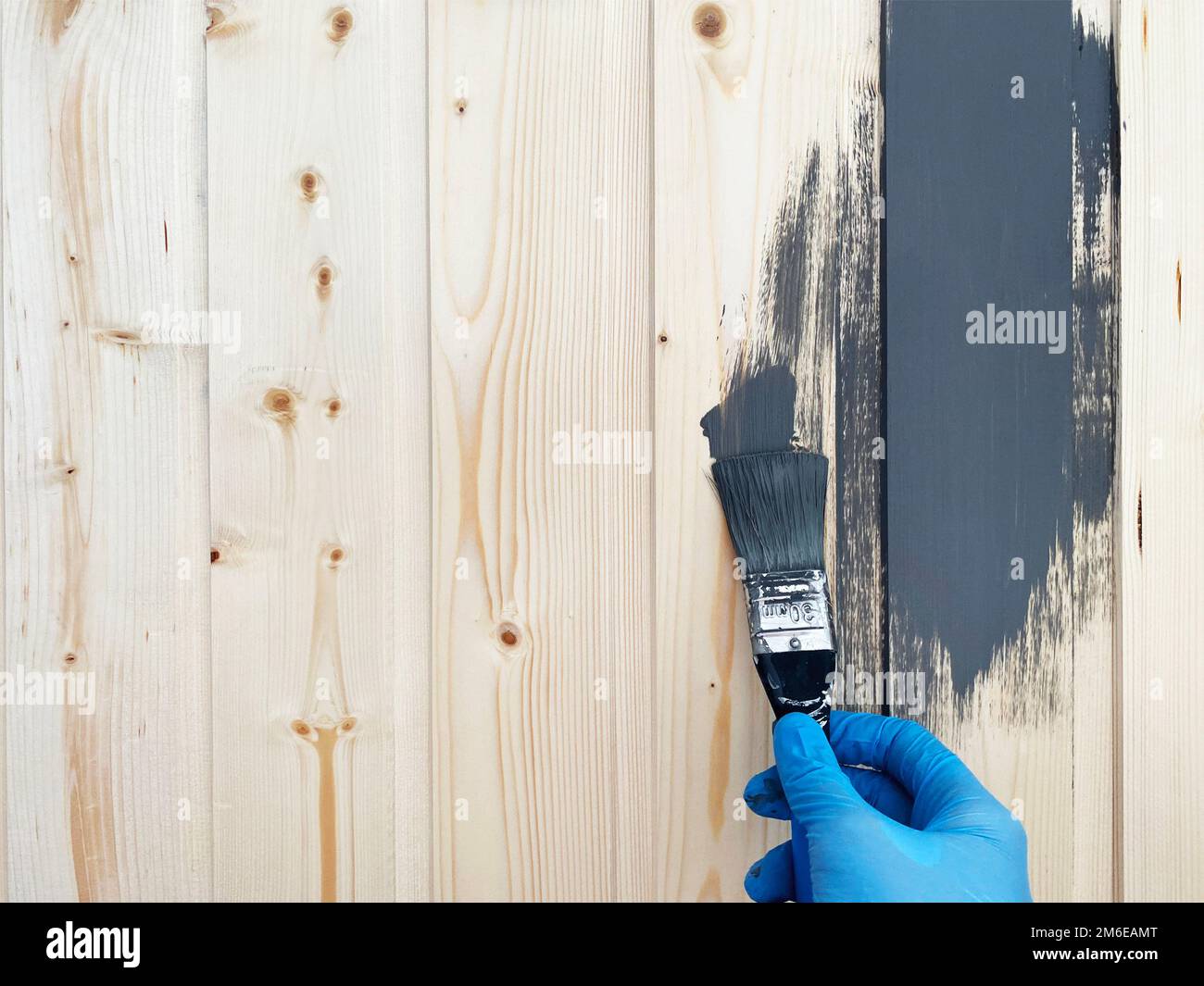 Die Hand eines Arbeiters in blauen Gummihandschuhen bemalt eine Holzwand mit einem Pinsel grauer Farbe Stockfoto