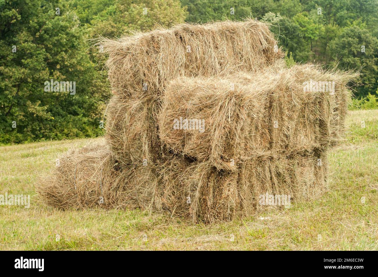 Strohballen auf gemähter Bergwiese Stockfoto