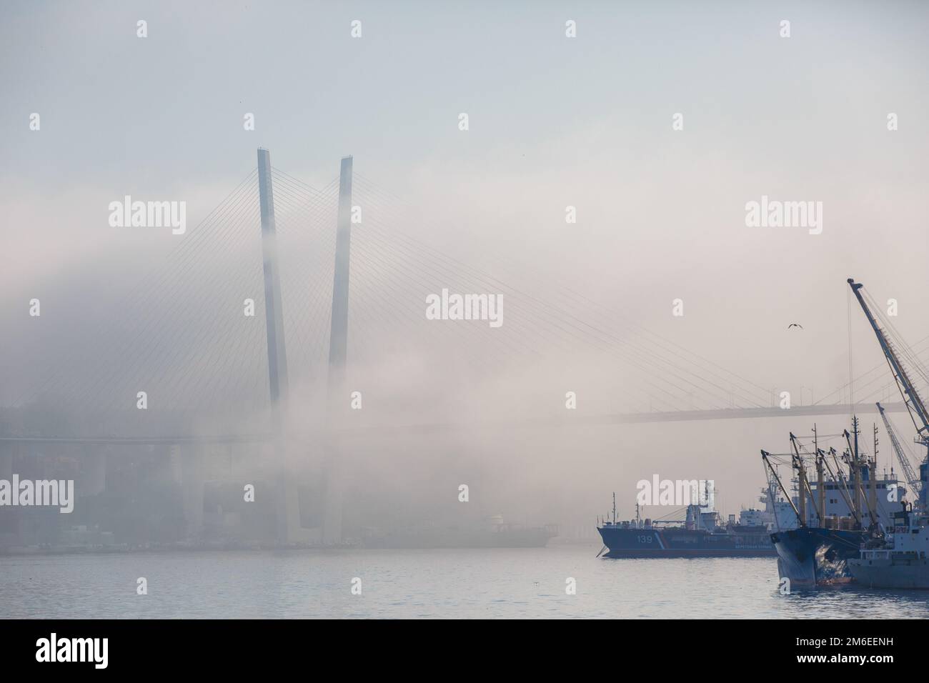 Hafen Wladiwostok. Verschiedene Handelsschiffe stehen auf dem Straßenstead in der Bucht des Goldenen Horns in Wladiwostok bei starkem Nebel Stockfoto